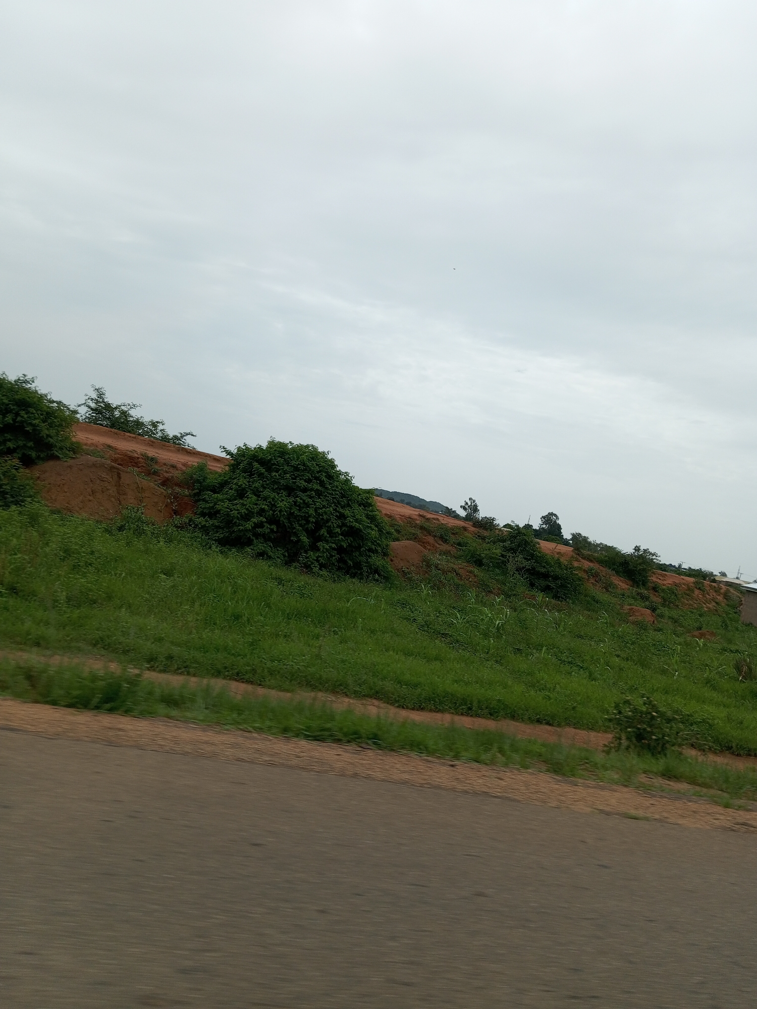 The image depicts a roadside view in Du, Nigeria, under an overcast sky. The scene is dominated by a steep, reddish-brown embankment covered in lush green vegetation. Tall grasses and shrubs grow abundantly on the lower slopes, transitioning to denser bushes and trees further up the embankment. The embankment itself appears to be a man-made cut, likely for road construction or land leveling, exposing the rich soil.
In the foreground, a paved road runs horizontally across the frame, indicating the perspective of someone traveling by vehicle. The road surface is a muted gray, with a strip of lighter brown soil bordering the embankment. The sky is a uniform pale gray, suggesting a cloudy or possibly rainy day, and the overall lighting is soft and diffused. There are no people or discernible objects other than the natural landscape and the road. The time of day is difficult to pinpoint precisely due to the lack of direct sunlight or strong shadows, but it appears to be daytime. The environment is natural and undeveloped, with a sense of rural or semi-rural Nigeria. No text is visible in the image.