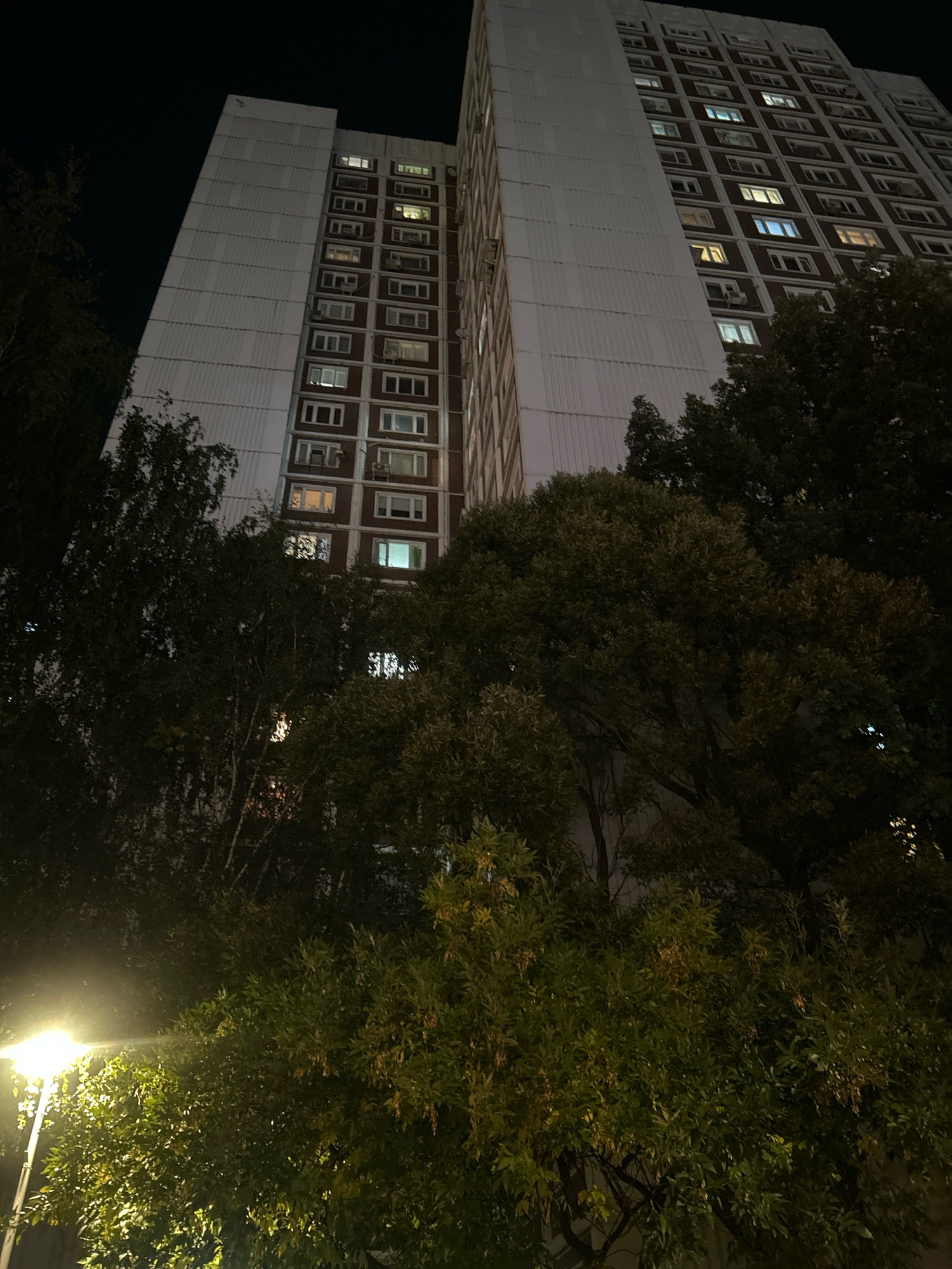 A nighttime exterior view captures a tall, apartment building in Moscow, Russia, partially obscured by dark, leafy trees. The building, with its distinct facade featuring rows of windows and protruding air conditioning units, is illuminated by warm, artificial light emanating from some of its apartments. The overall scene is dominated by darkness, with the building and trees being the only discernible subjects against the night sky.