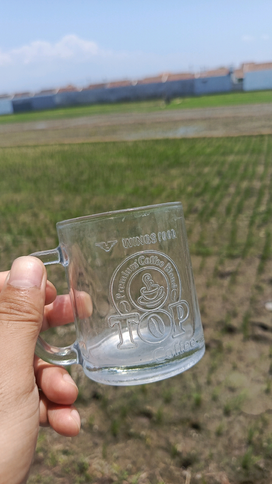 In Babadan, Indonesia, a person's hand holds a clear glass mug with embossed branding for "WINGS FOOD" and "TOP Coffee Blend". The mug is empty and transparent, allowing the background to be visible through it. The mug features a circular logo with a coffee cup icon and the text "Premium Coffee Blend" surrounding it. Below this, the word "TOP" is prominently displayed in large, embossed letters, followed by "Coffee" in smaller lettering at the bottom.
The background consists of a vast, green, and brown agricultural field, likely rice paddies, under a bright, clear blue sky with a few scattered clouds. In the distance, a row of buildings with orange tiled roofs and light blue walls stretches horizontally across the landscape, suggesting a residential or industrial area. The overall scene depicts a casual moment outdoors, possibly in a rural or semi-rural setting within Babadan.