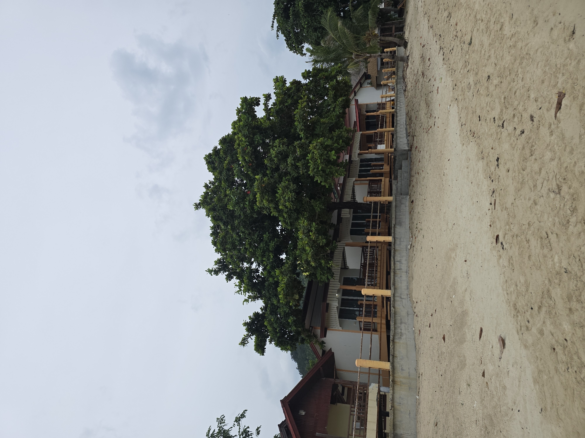 The image depicts a beachfront property with a row of bungalows or small houses situated behind a sandy beach. A large, leafy tree dominates the center of the frame, casting shadows over the buildings. The bungalows have wooden decks with railings, supported by concrete foundations. The beach in the foreground is covered in light-colored sand with scattered debris. The sky is overcast with a few clouds visible. The architecture suggests a tropical or coastal setting.
