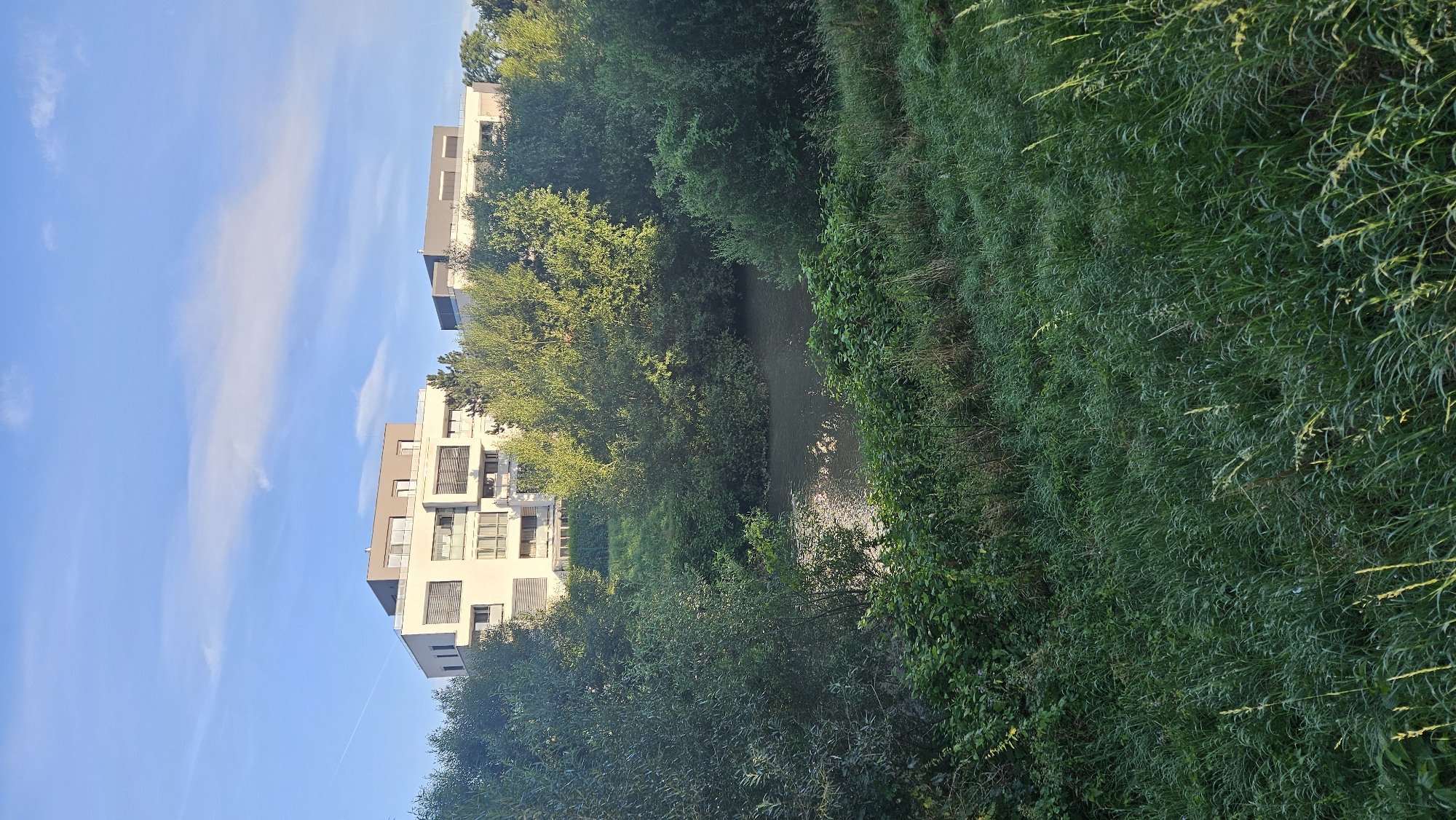 The image shows a modern apartment complex with white and grey facades, featuring multiple balconies and large windows, situated behind a dense line of lush green trees and vegetation. In the foreground, a body of dark water, possibly a pond or a slow-moving stream, is partially visible, reflecting the sky and surrounded by thick greenery. The sky above is a clear blue with a few wispy white clouds and a faint contrail. The overall scene depicts a residential area integrated with natural elements. Based on the architectural style and the presence of water and dense vegetation, this scene could be located in a modern development like the "Západný obytný súbor" (Western Residential Area) or a similar area in Prešov, Slovakia, which is known for its green spaces and newer housing projects.