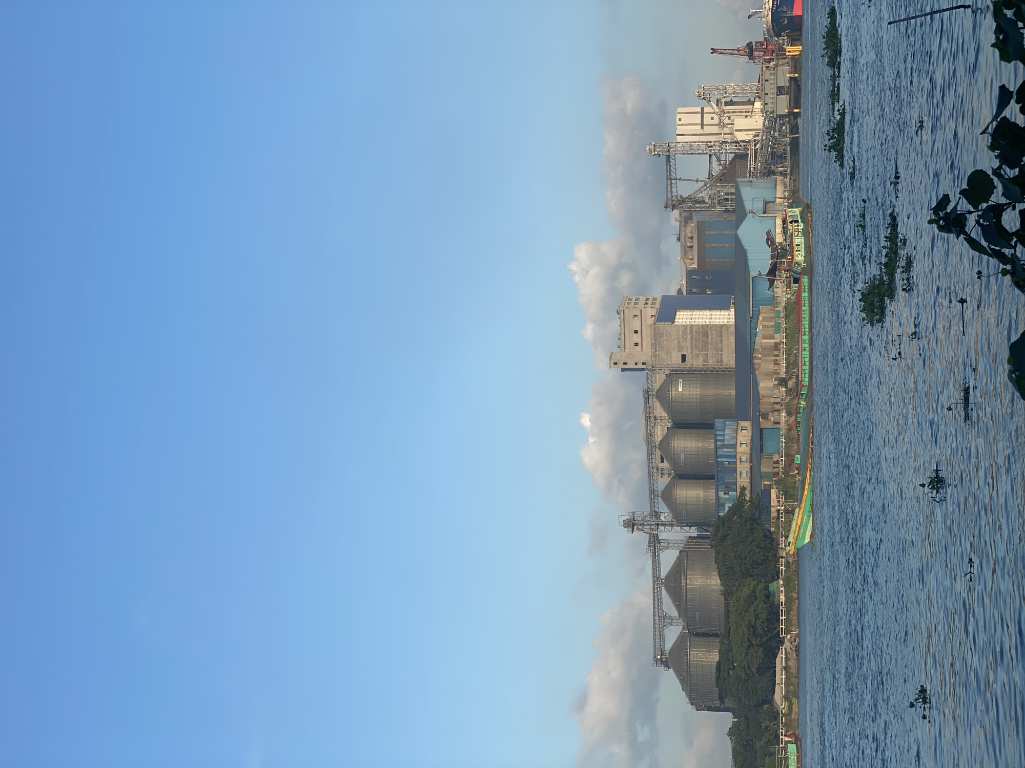 The image depicts an industrial complex situated along the bank of a river in Tarabo, Bangladesh. Dominating the scene are several large, cylindrical grain silos, connected by a network of elevated conveyor belts and structures. Adjacent to the silos are various industrial buildings, some painted in blue and others appearing to be concrete structures. A large red crane is visible on the right side of the complex, suggesting ongoing port or shipping activities.
In the foreground, the river flows, with several patches of aquatic plants scattered on its surface. A long, narrow barge, primarily painted green with red accents, is moving on the water, its deck cluttered with what appear to be cargo or equipment. The sky above is a clear blue with a few scattered white clouds. The overall impression is one of a bustling industrial waterfront. There are no people visible in the frame.