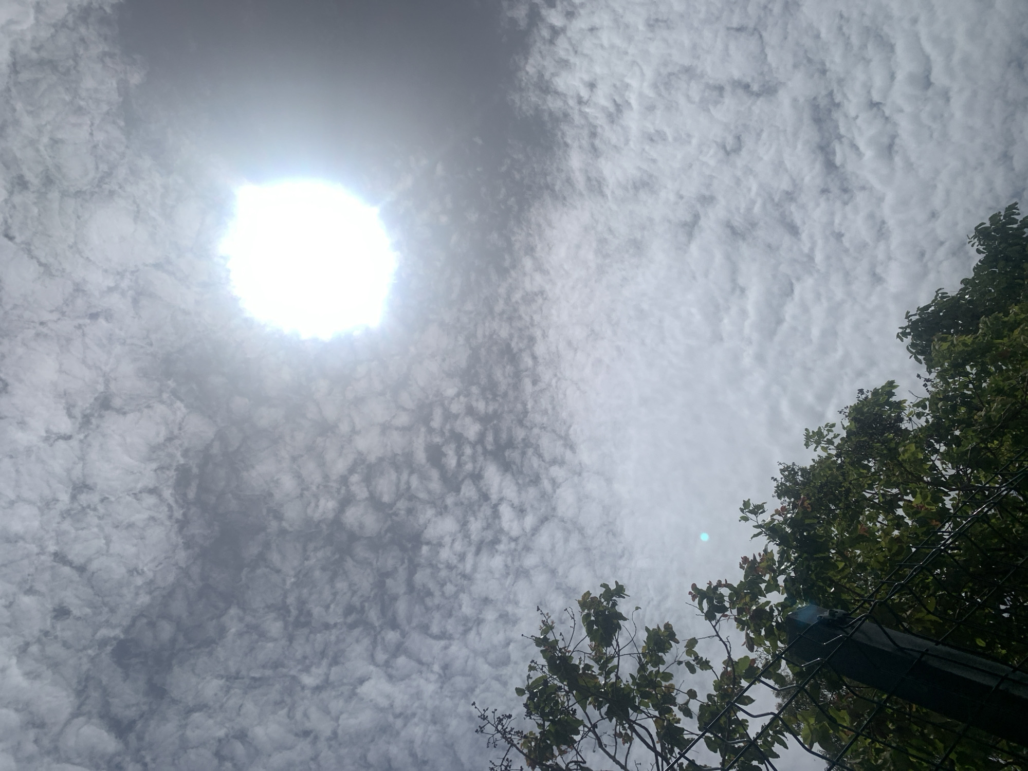 The image depicts a bright, sunlit sky filled with scattered, fluffy white clouds. The sun is prominently positioned in the upper right quadrant, appearing as an intense white orb surrounded by a luminous halo. The lower portion of the image features the upper branches of a leafy green tree, its foliage partially obscuring a dark, metal mesh fence. The scene is likely outdoors, with the sky suggesting daytime conditions. There is no indication of specific people, actions, or interactions. The environment is consistent with an outdoor setting in a place like Kuru Karama, Nigeria.
