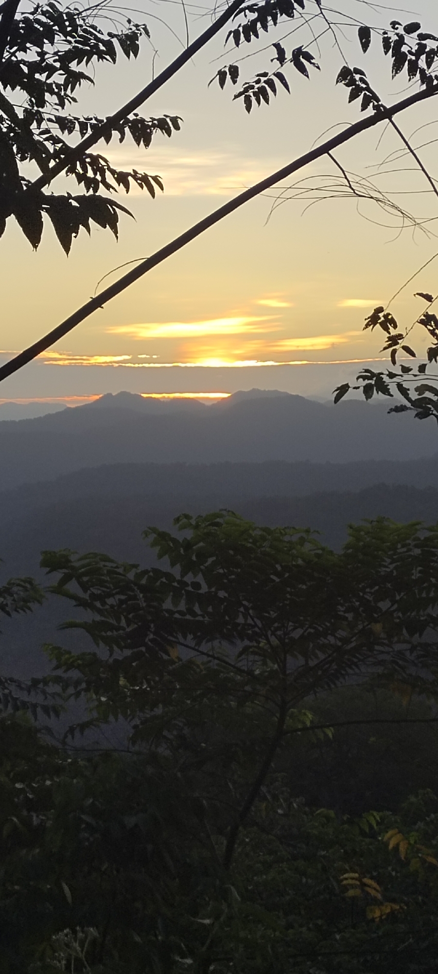 A landscape photograph taken in an unknown location in Indonesia shows a sunset over mountains with trees in the foreground. The sun is setting behind the mountain range, creating a bright orange and yellow glow in the sky. The mountains are dark gray and appear to be layered in the distance. In the foreground, there are trees with green leaves. The branches and leaves are silhouetted against the bright sky. The overall tone of the photograph is peaceful and serene.
