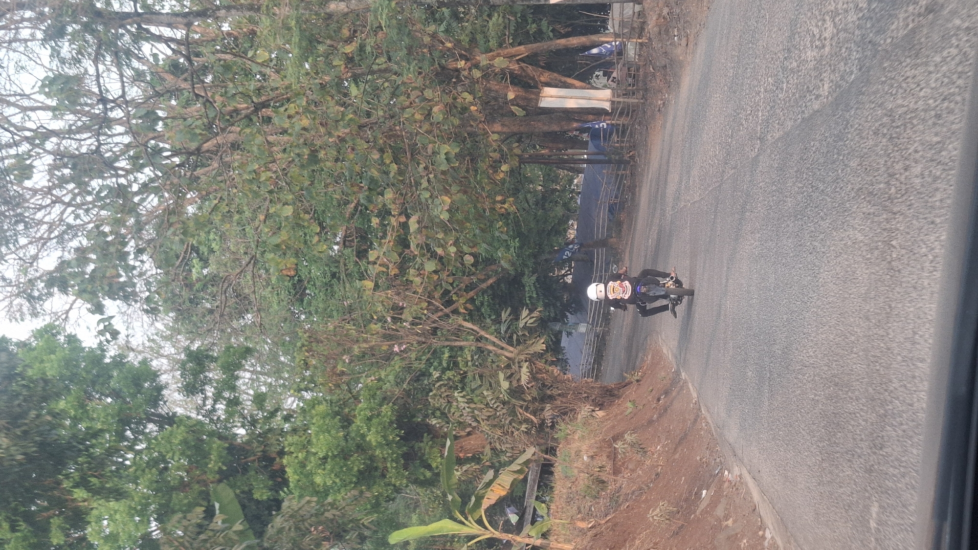 The image depicts a person riding a motorcycle down a paved road surrounded by lush vegetation. The road curves to the left, with a dirt embankment on the left side of the frame and dense trees and foliage lining both sides of the road. In the background, there are some structures and a blue tarp, suggesting a rural or semi-rural setting. The rider is wearing a white helmet and a black shirt with a graphic design. The motorcycle is dark colored and appears to be a sportbike. The lighting suggests it may be late afternoon or early morning. The scene is captured from the perspective of someone in a vehicle behind the motorcycle. The location is identified as Cibinong Hilir, Indonesia.