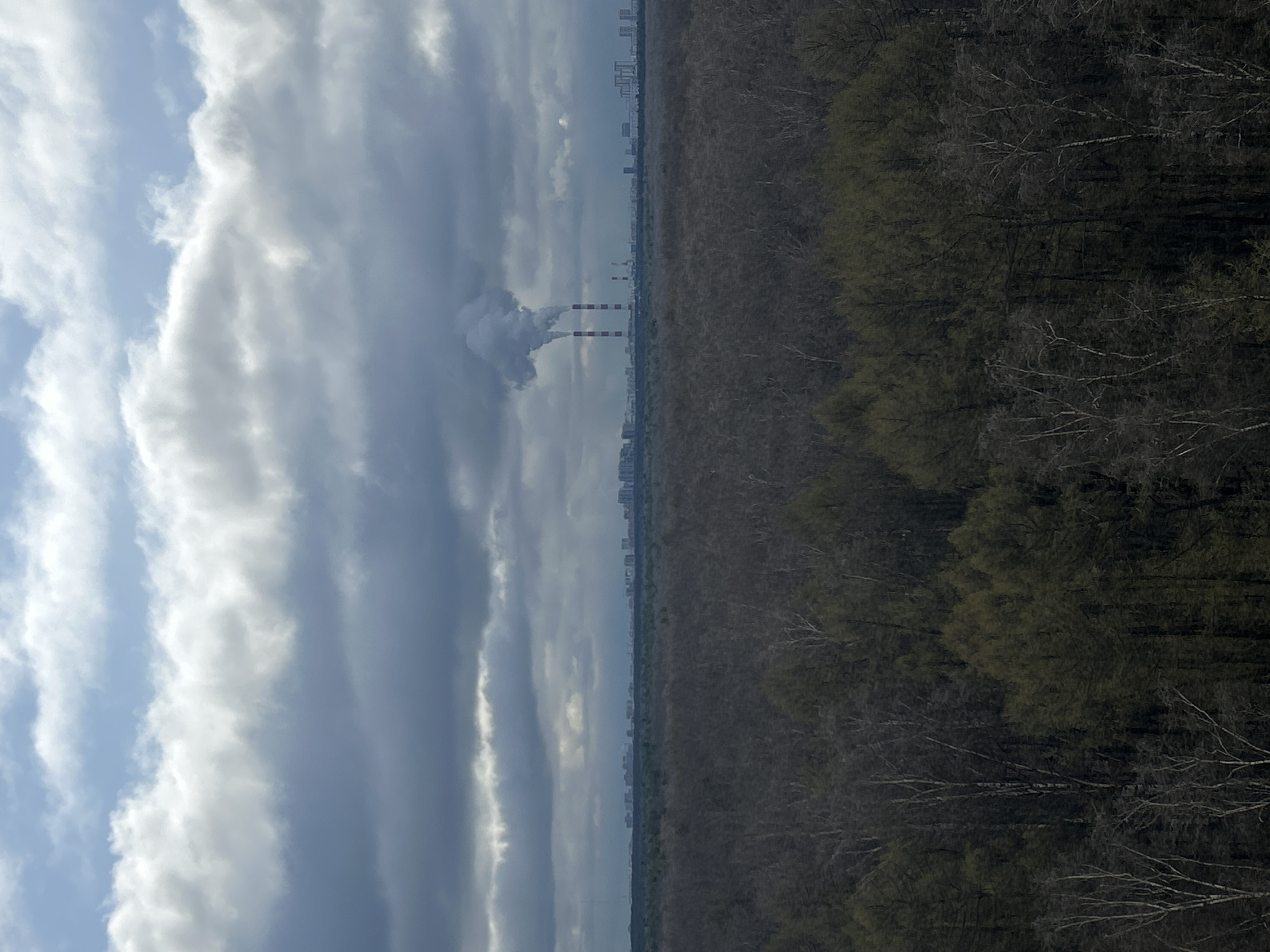 The image shows a landscape with a mix of natural and industrial elements, possibly in Moscow, Russia, based on identifying features.
The sky occupies a significant portion of the left side, featuring a mix of blue sky and heavy, dark clouds. In the distance, two tall industrial chimneys are emitting smoke or steam. In the middle is what appears to be a forest or green space extending to the right, showing mostly the bare branches of trees. In the background are the outlines of high-rise buildings characteristic of Moscow's urban skyline.