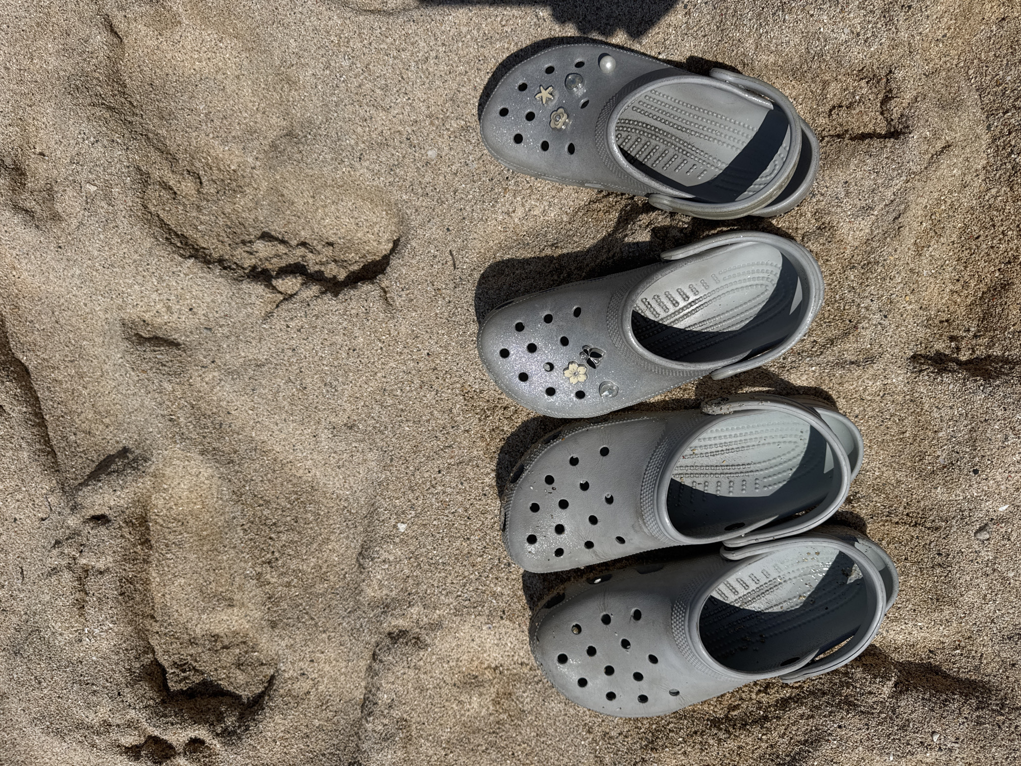 Four grey Crocs shoes are arranged in a vertical line on light brown, coarse sand, viewed from an overhead perspective. The top two shoes form a pair and are adorned with Jibbitz charms: the right shoe features a silver starfish, a white flower, and a clear pearl-like charm, while the left shoe displays a white flower and a dark, bee-shaped charm. The bottom two shoes appear plain. All shoes exhibit the characteristic ventilation holes and hinged heel straps of Crocs clogs.
The scene is set outdoors on sandy terrain, suggesting a beach or a sandy landscape. Bright, direct sunlight illuminates the shoes from the right, casting distinct, dark shadows to the left of each shoe, indicating a clear, sunny day, likely during mid-day or early afternoon. The sand beneath the shoes shows natural variations in texture and minor undulations.
No people are visible, and no specific activity is taking place; the shoes are stationary on the sand. The inner soles of the Crocs have a textured pattern, and faint, small, illegible text, possibly branding or sizing information, is visible within. The grey material of the shoes exhibits a subtle, almost sparkly sheen in the sunlight.