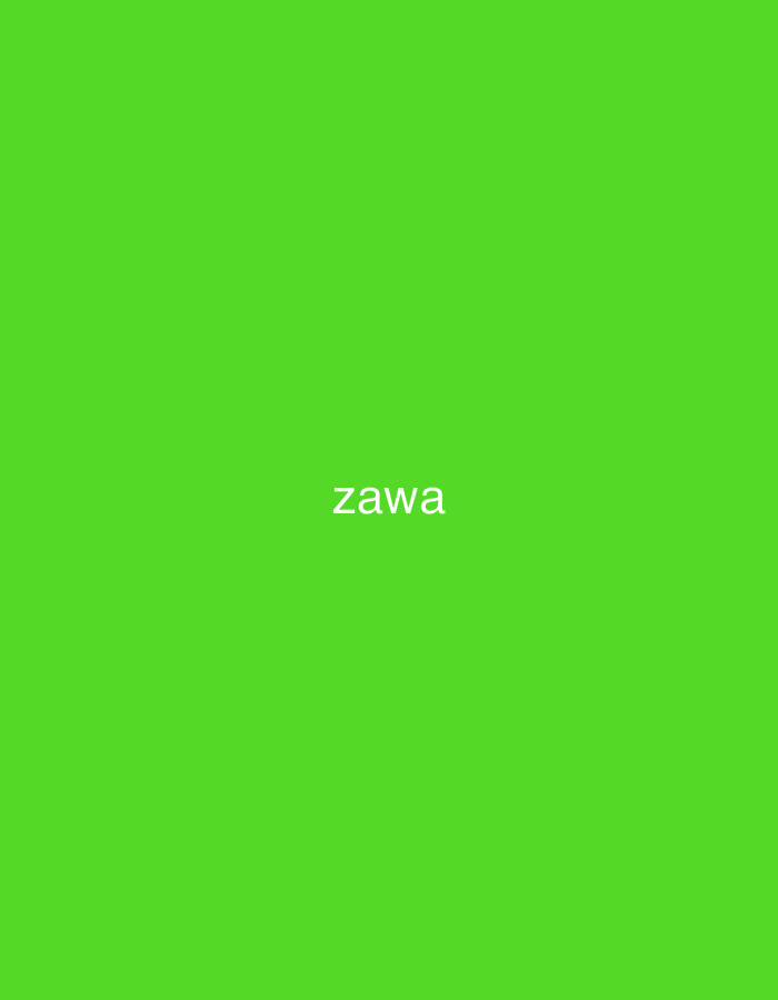 The image displays a solid, uniform lime green background. Centered horizontally and positioned slightly below the vertical midpoint, the word "zawa" is rendered in white, lowercase, sans-serif text. No people, identifiable objects, actions, or interactions are present. The environment consists solely of this plain color field. This image does not contain any visual elements that depict the city of Casablanca, Morocco, or any other specific geographic location.