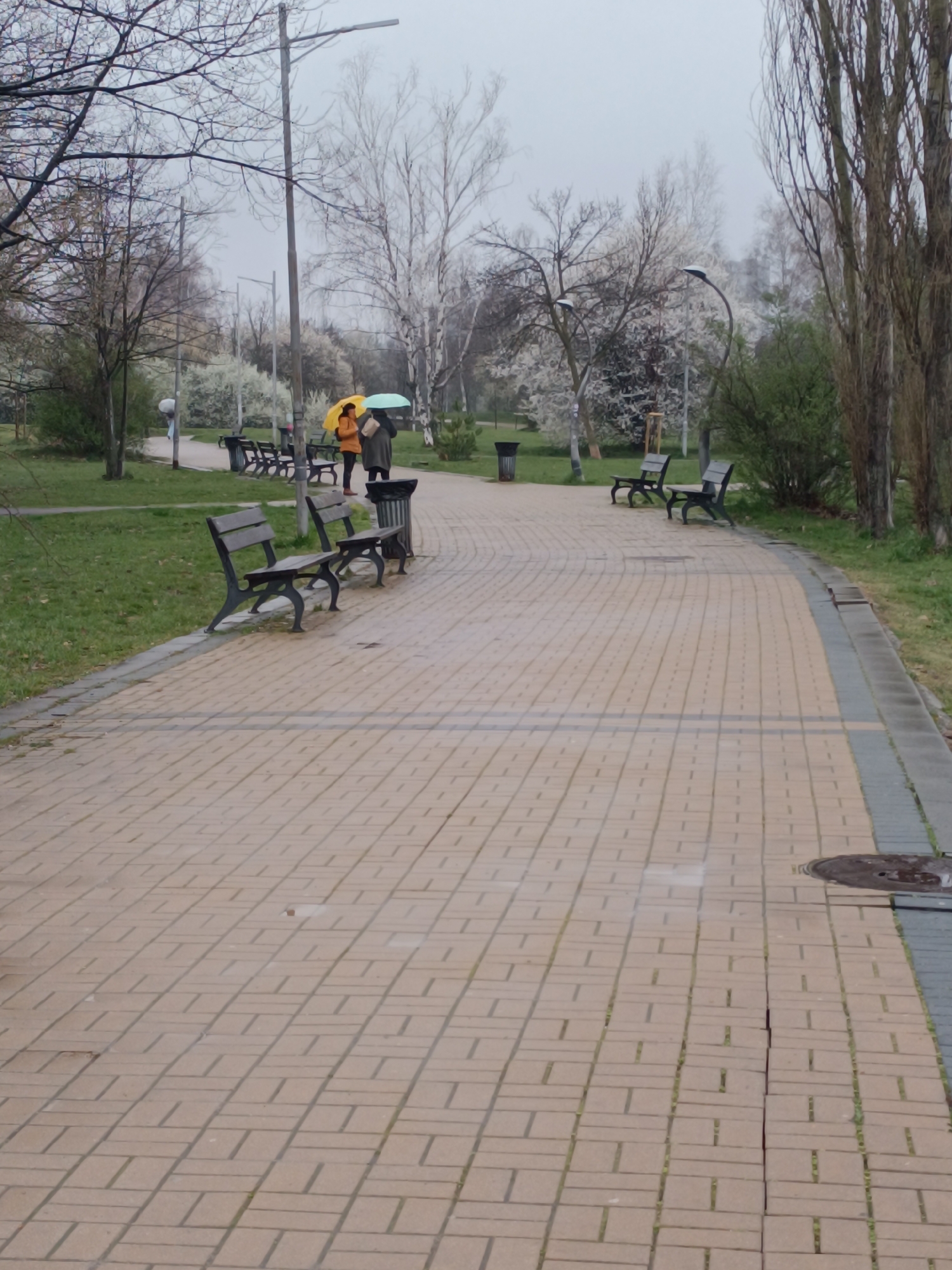 The image shows a park pathway in Sofia, Bulgaria on an overcast day. The pathway is paved with tan bricks arranged in a rectangular pattern, bordered by gray stones. Benches and trash receptacles are placed along the sides of the pathway. Trees with bare branches and some with white blossoms line the pathway. Two individuals walk along the path; one wears an orange jacket and carries a yellow umbrella, the other wears a dark coat and carries a light green umbrella. Street lamps are visible along the path. The ground is a mix of grass and bare earth. A manhole cover is visible in the lower right corner of the image.