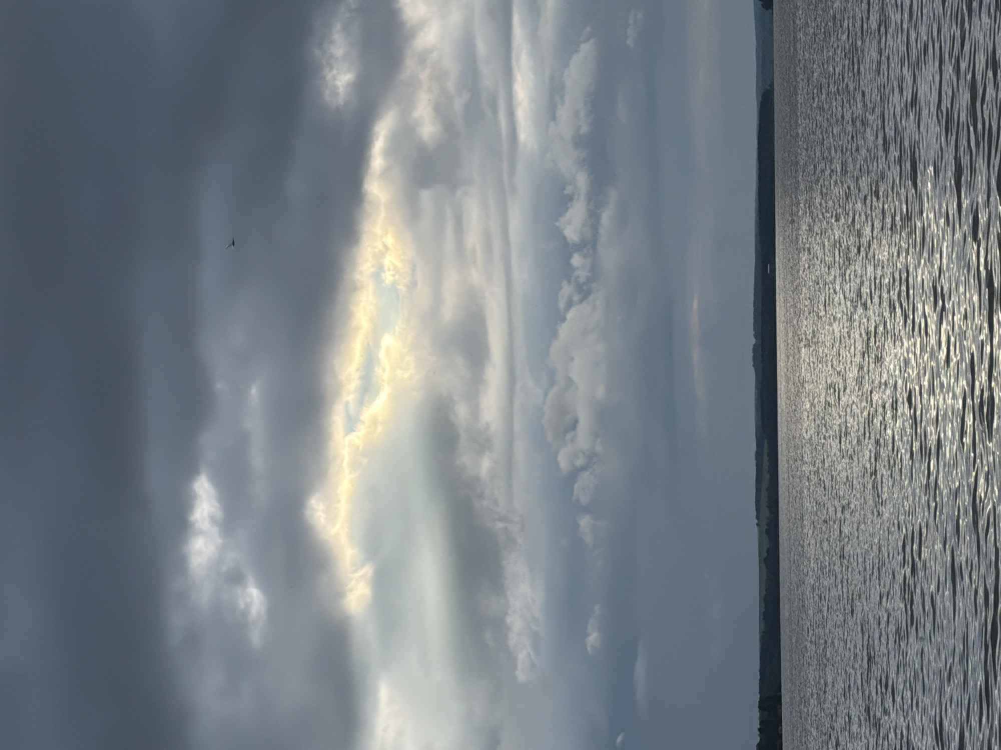The image displays a panoramic view of the Votkinsk Reservoir in Votkinsk, Russia, under an overcast sky. The upper two-thirds of the frame are dominated by dense, dark grey clouds, characteristic of stratus or cumulonimbus formations. A prominent, elongated opening in the cloud layer, positioned in the upper-middle of the image, allows a burst of golden-white sunlight to penetrate, creating visible crepuscular rays and illuminating the undersides of surrounding clouds. A solitary, dark avian subject is captured in flight in the upper right quadrant against the darker cloud mass.
The lower third of the image depicts the surface of the large body of water, exhibiting numerous small, wind-generated ripples and waves. The water reflects the intense light from the sky opening, forming a distinct shimmering path extending from the mid-ground towards the foreground on the right side. The overall water color is dark grey-blue, consistent with the overcast conditions and light reflections.
A low, dark, and indistinct landmass, appearing as a distant shoreline or forested area, spans the horizon, separating the water from the sky. No human figures, discernible structures, or specific interactions are present within the frame, except for the single bird in flight. The perspective is from a low vantage point, looking across the reservoir towards the distant land.
