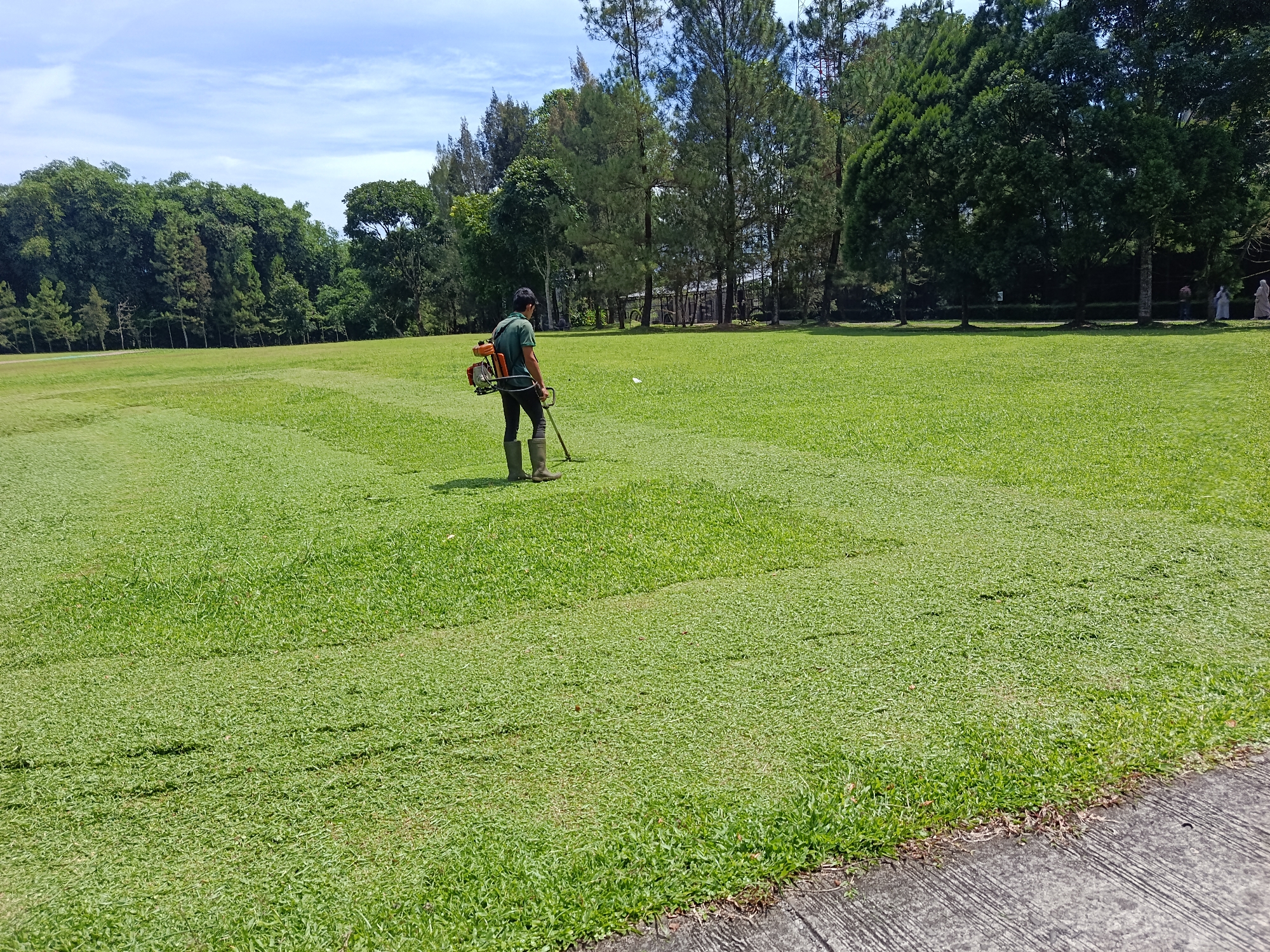 A man, wearing a dark green short-sleeved shirt, dark pants, and tall brown boots, operates a backpack leaf blower on a vast, well-maintained green lawn under a bright blue sky with scattered white clouds. The lawn appears to be part of a park or golf course in Bandar Baru, Indonesia, with a dense line of diverse trees forming the background. The man is positioned in the left-center of the frame, facing away from the viewer, and appears to be clearing debris from the mown grass. To the right of the frame, a paved pathway is visible along the edge of the lawn. The overall scene depicts a sunny day with outdoor maintenance work in progress.