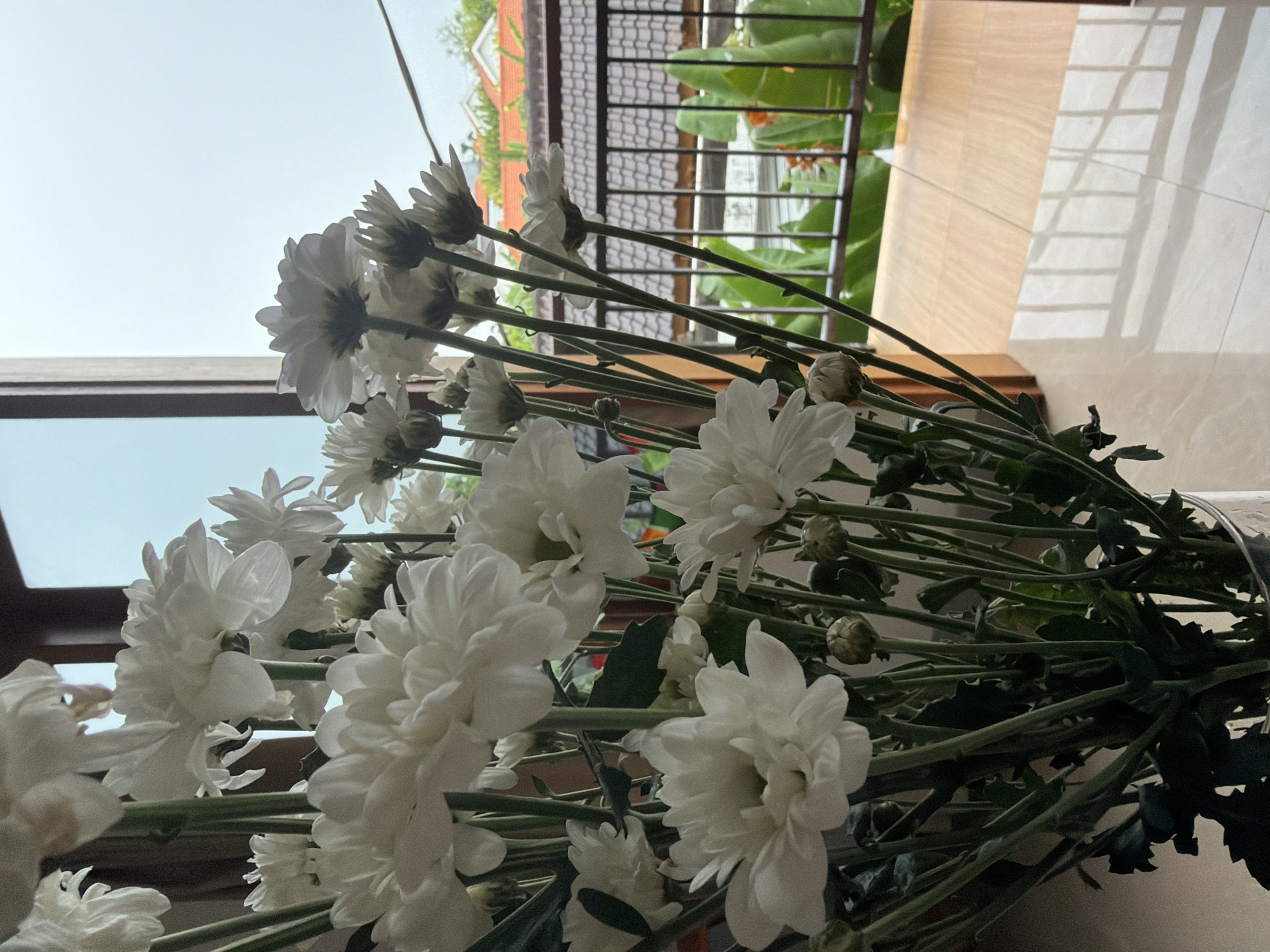 A low-angle shot captures a bouquet of white chrysanthemums in front of a window and a partially visible balcony. Outside the balcony, glimpses of a building and foliage are discernible. The location is likely in North Kuta, Indonesia. The flowers are predominantly in focus, with their white petals contrasting against the green stems and leaves. The window frame is visible on the left, and the balcony railing is visible on the right side of the frame. Light and shadows play across the tile flooring.