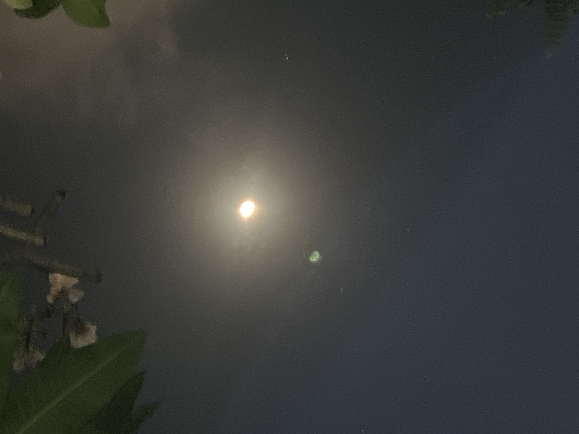 A night-time photograph captures the moon in a hazy sky, with the glow of streetlights or other artificial illumination softening its edges. The moon is centrally located in the image, appearing as a bright, slightly diffused orb against a dark, dusky sky. Above and to the left of the moon, dark silhouettes of tree branches and leaves are visible, suggesting the photo was taken outdoors, possibly in a garden or park. A faint, circular green light artifact is present to the left of the moon, likely a lens flare. The overall atmosphere is serene, with the muted colors and soft light creating a calming effect. This scene could be located in various parts of Denpasar, Indonesia, where lush vegetation and clear night skies are common.