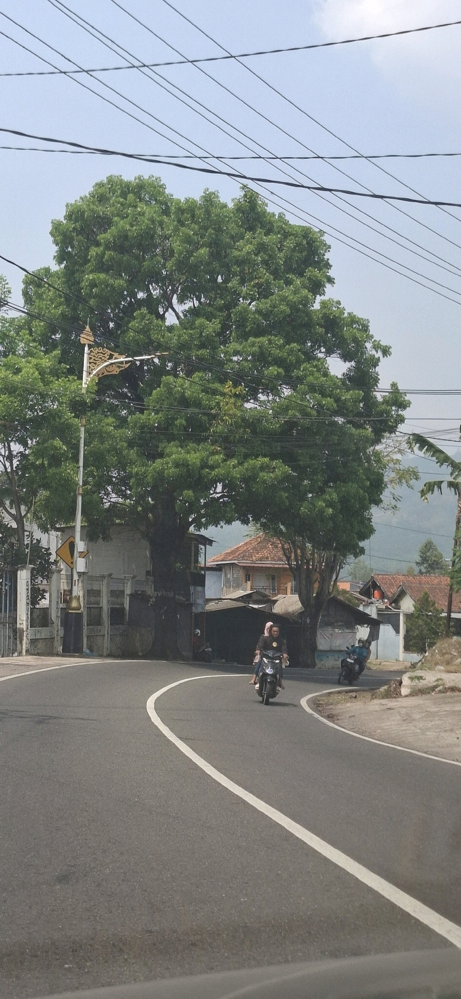 The image shows a road in Peuteuycondong, Indonesia, with a large tree dominating the left side of the frame. The road curves to the right. A streetlamp with an ornate, golden decorative element stands near the tree. On the road, two motorcycles are visible. The first motorcycle, closer to the viewer, carries two people, a driver and a passenger wearing a light-colored headscarf. The second motorcycle is further down the road and to the right, with a single rider. Behind the tree and the streetlamp, several buildings with tiled roofs are visible, suggesting a residential or commercial area. Power lines crisscross the sky above the scene. The weather appears to be clear and bright.
