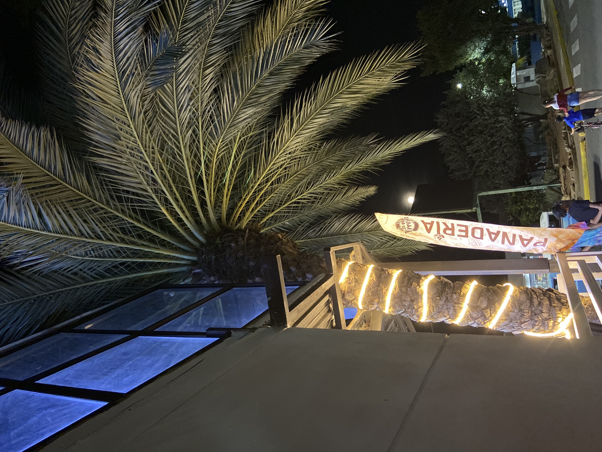 A nighttime, long-exposure shot presents a palm tree dominating the left side of the frame, its fronds extending towards the top. The tree partially covers a structure with a blue-lit, glass-paneled roof. Adjacent to the tree is a sign reading "PANADERIA" (bakery). The sign is illuminated by lights that highlight the bark's rough texture. The scene shifts from the foreground to the distant background, where a street scene unfolds. A group of people is partially visible on a sidewalk, and the edges of what seems to be the street itself can be seen, suggesting the location to be Juan Griego, Venezuela.