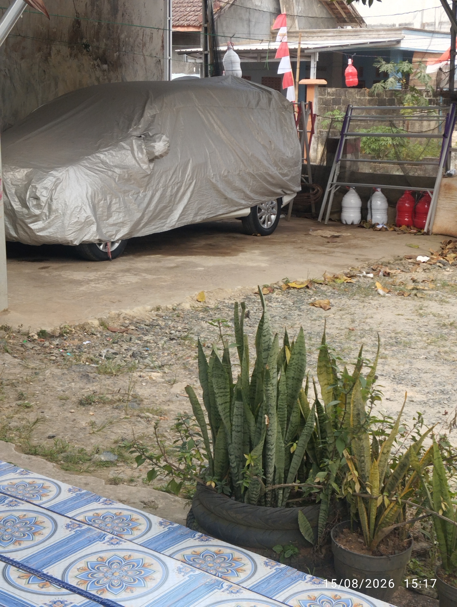 The image depicts a covered car parked under a structure, possibly a carport or an open garage, in Tegal Rejo, Indonesia. The car is entirely shrouded in a silver-colored tarpaulin. To the right of the car, a metal ladder stands upright, with several large plastic bottles placed at its base. Two of these bottles are white, and three are red. Behind the ladder, a building with a red-tiled roof is visible, and red and white Indonesian flags are displayed on poles. The ground surrounding the car and ladder appears to be a mix of concrete and gravel, with scattered fallen leaves. In the foreground, a row of potted snake plants are visible, with one plant in a large, repurposed tire planter and another in a dark plastic pot. The overall scene suggests an outdoor area of a residential or commercial property. The date and time stamp "15/08/2026 15:17" is present in the bottom right corner of the image. There are no people visible in the image.