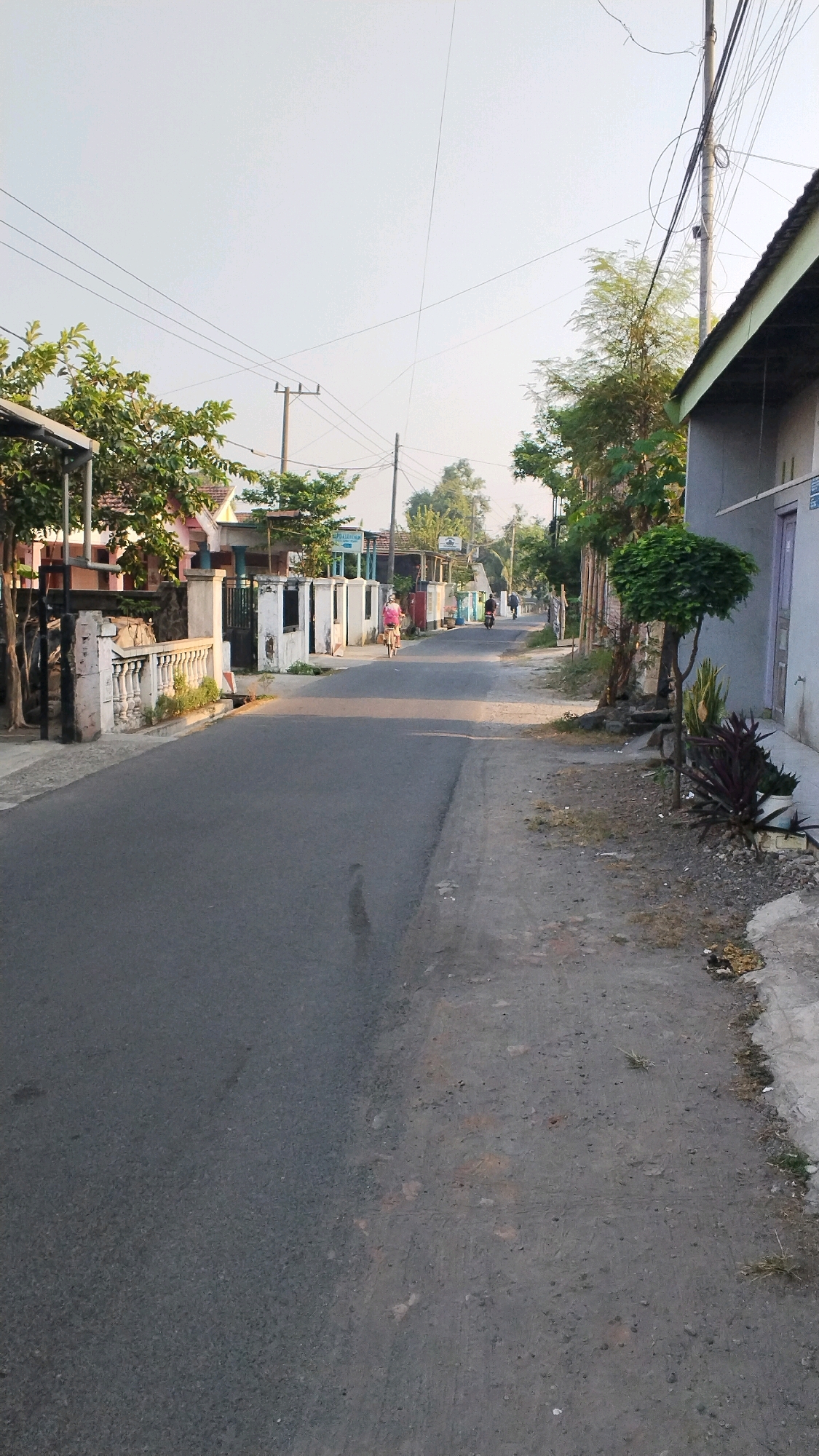 A residential street in Penompo, Indonesia, features a paved road flanked by houses and vegetation under a clear sky. On the left side of the road, a low white stone fence runs alongside a sidewalk, with houses visible behind it. A person is riding a bicycle down the road, wearing a pink top. Further down the street, two more individuals are on motorcycles, and several houses are visible, some with white fences. Trees and utility poles line both sides of the street. On the right side, the road is bordered by a dirt path and more houses, with a distinctively shaped tree and some plants in the foreground. A building with a grey facade and a green-tiled roof is prominent on the far right.