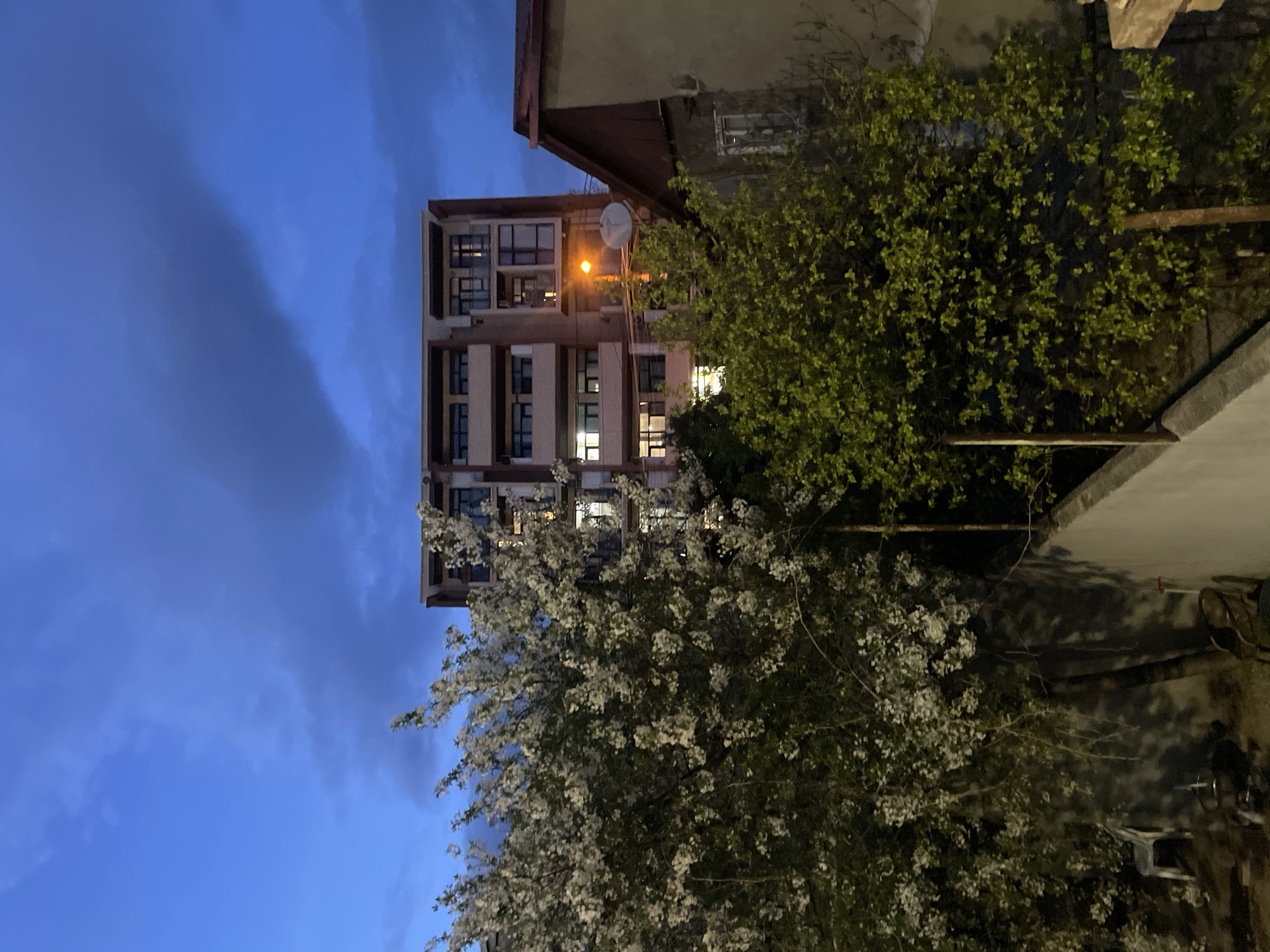 The image shows a tall apartment building in Tbilisi, Georgia, viewed at dusk. The building has multiple floors with windows showing interior lights. A street lamp illuminates the top part of the building. A tree with white blossoms is in the foreground, partially obscuring the building. Another tree with green foliage is visible on the right side of the frame. A building is positioned adjacent to the right of the apartment building. The sky is a deep blue with some clouds.