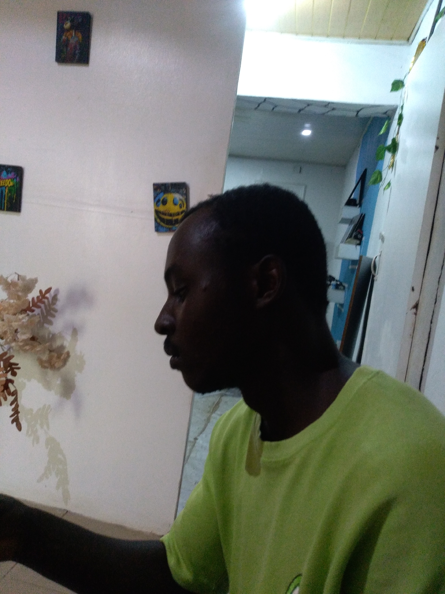 A medium shot, side profile of a Black man wearing a lime green t-shirt is captured in the foreground. He appears to be looking down and to the left, with his eyes closed. The man's skin is dark, and his hair is short and black. He is seated in what appears to be a room with a white wall, adorned with three small, framed pictures. The first picture, top left, is abstract with dark colors and a figure. The second, to its right, is a smiling yellow face with black eyes and a wide grin. The third, bottom left, is a colorful design with the word "FREEDOM" written across it. To the left of the man, a sprig of artificial light brown and red flowers is visible. The background shows a hallway with a blue wall, a light-colored ceiling, and a plant with green leaves trailing down a white wall on the right. The man's posture suggests contemplation or rest. The scene is likely indoors, in a domestic setting within Jos, Nigeria, given the context provided.