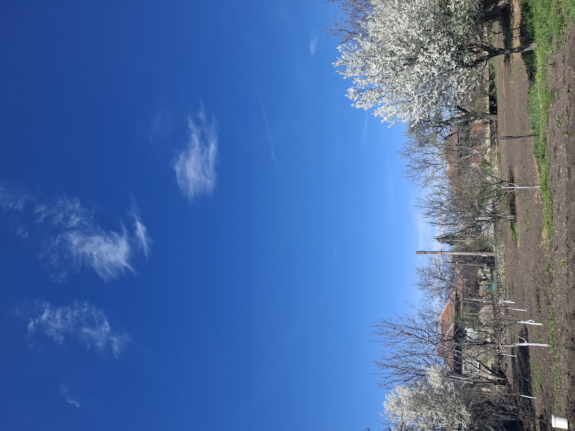 The image depicts a clear, bright blue sky in Gramada, Bulgaria, punctuated by scattered cirrus clouds. Adjacent to the sky, the scene shifts to a rural landscape: a patch of cultivated brown earth, presumably a garden or field, borders the sky. Several trees line this area, some bare and others in full bloom with white flowers. A building with a red-tiled roof is visible among the trees. A utility pole stands among the trees. The image is oriented vertically, causing the horizon to appear on its side.
