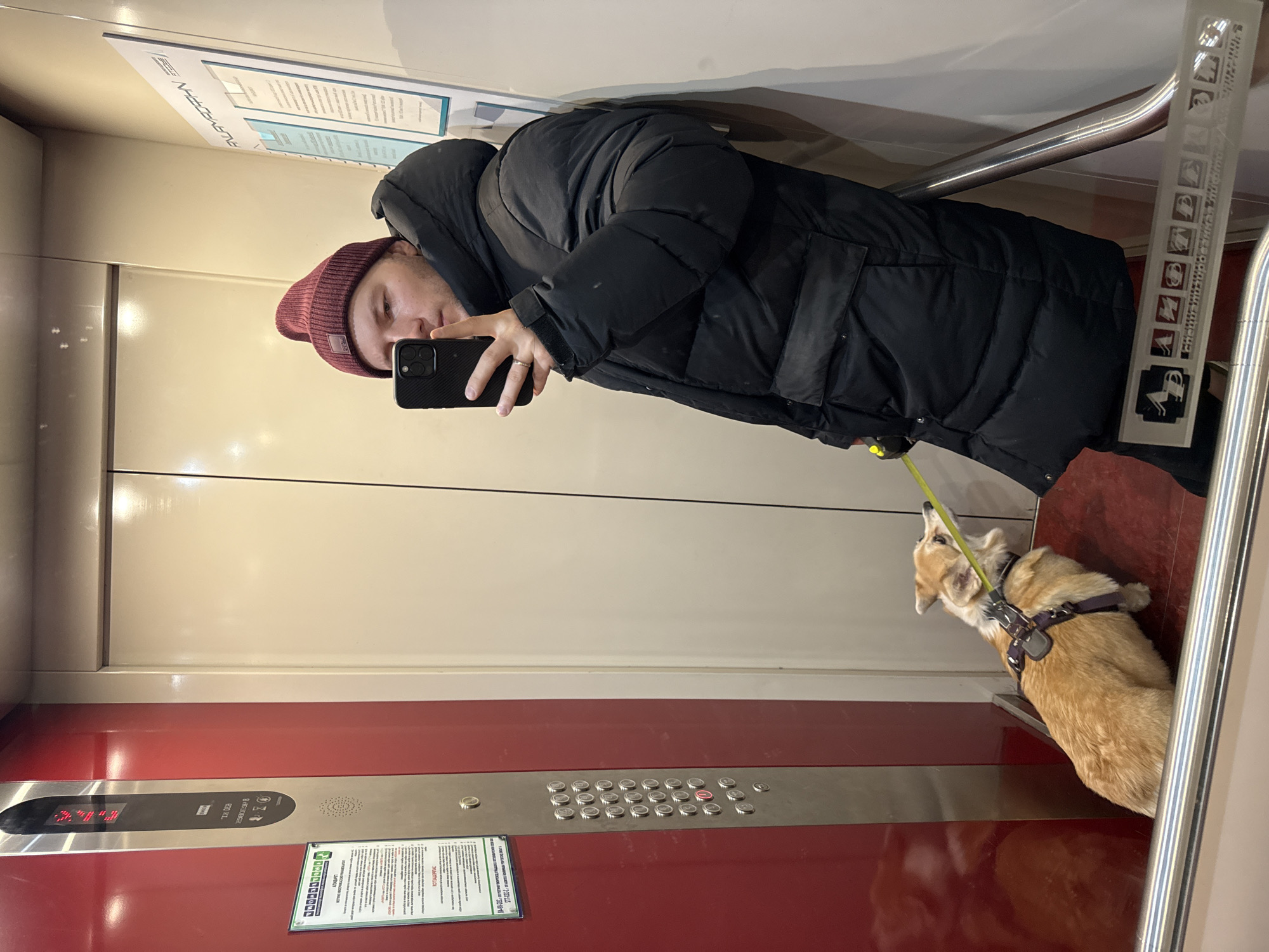 In an elevator, a person wearing a maroon beanie and a black puffer jacket is taking a selfie with their black phone. A corgi dog on a yellow leash is sitting on a red seat beside the person. The elevator interior features white and red panels, a control panel with buttons, and informational signs. The location is suggested as Krasnoyarsk, Russia, based on text on the signs. The scene is a casual moment captured within an elevator ride.