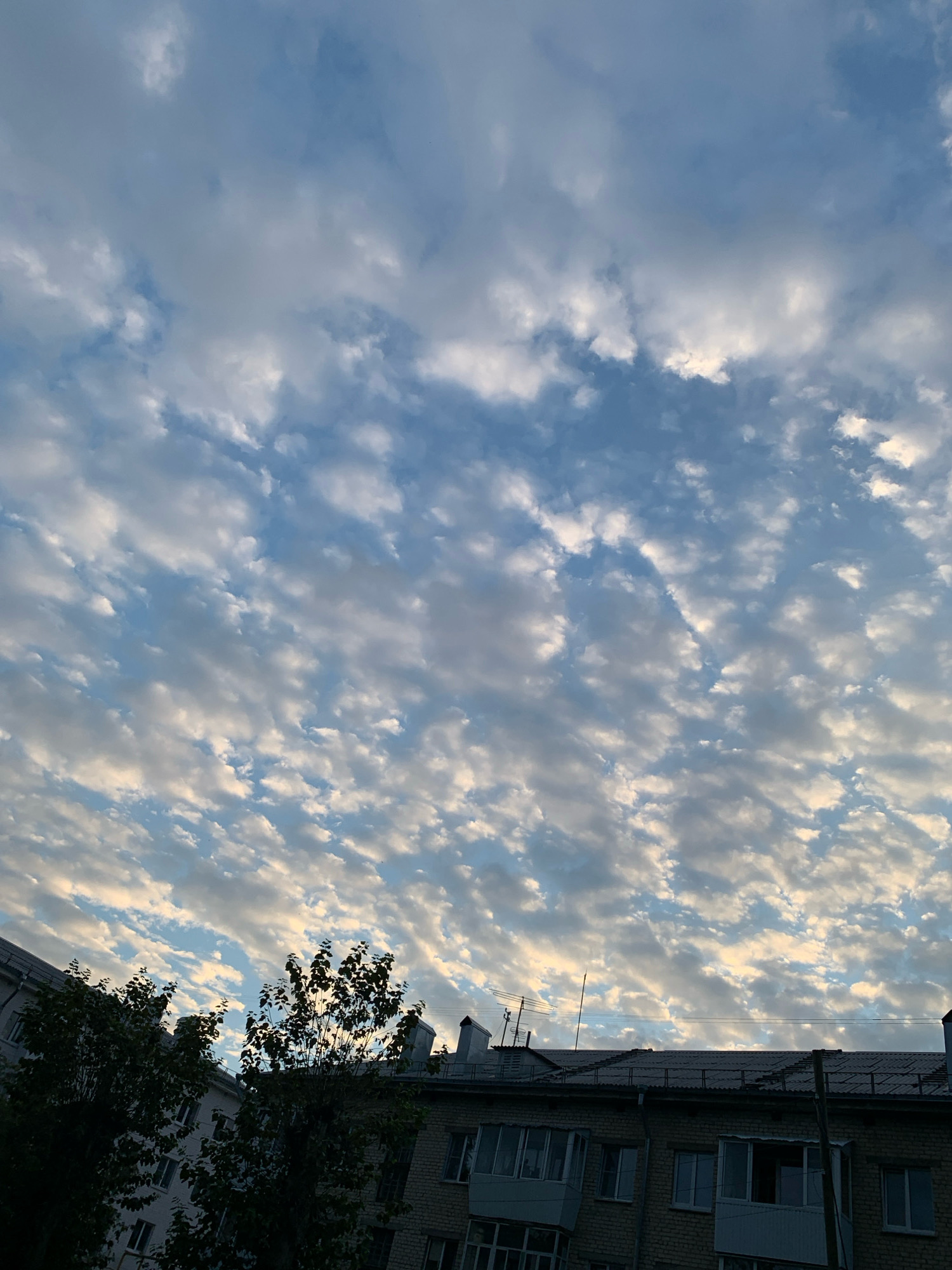 A high-angle, slightly downward shot captures a sky filled with scattered, textured clouds. The clouds are predominantly white and grey, with some areas showing hints of yellow and orange where the sunlight appears to be breaking through or reflecting. The blue sky is visible in patches between the clouds, suggesting a partly cloudy day.
In the lower portion of the frame, the rooftops and upper floors of apartment buildings are visible. These buildings appear to be made of brick and concrete, with visible windows, some of which have balconies or enclosed sunrooms. Antennae and electrical wires are also present on some of the rooftops.
On the left side of the image, the dark silhouettes of trees with dense foliage stand in front of one of the apartment buildings. The trees are silhouetted against the brighter sky, indicating that the light source is behind them. The overall impression is an urban scene during daylight hours, with a focus on the sky and the upper structures of the city. The location is identified as Asha, Russia.