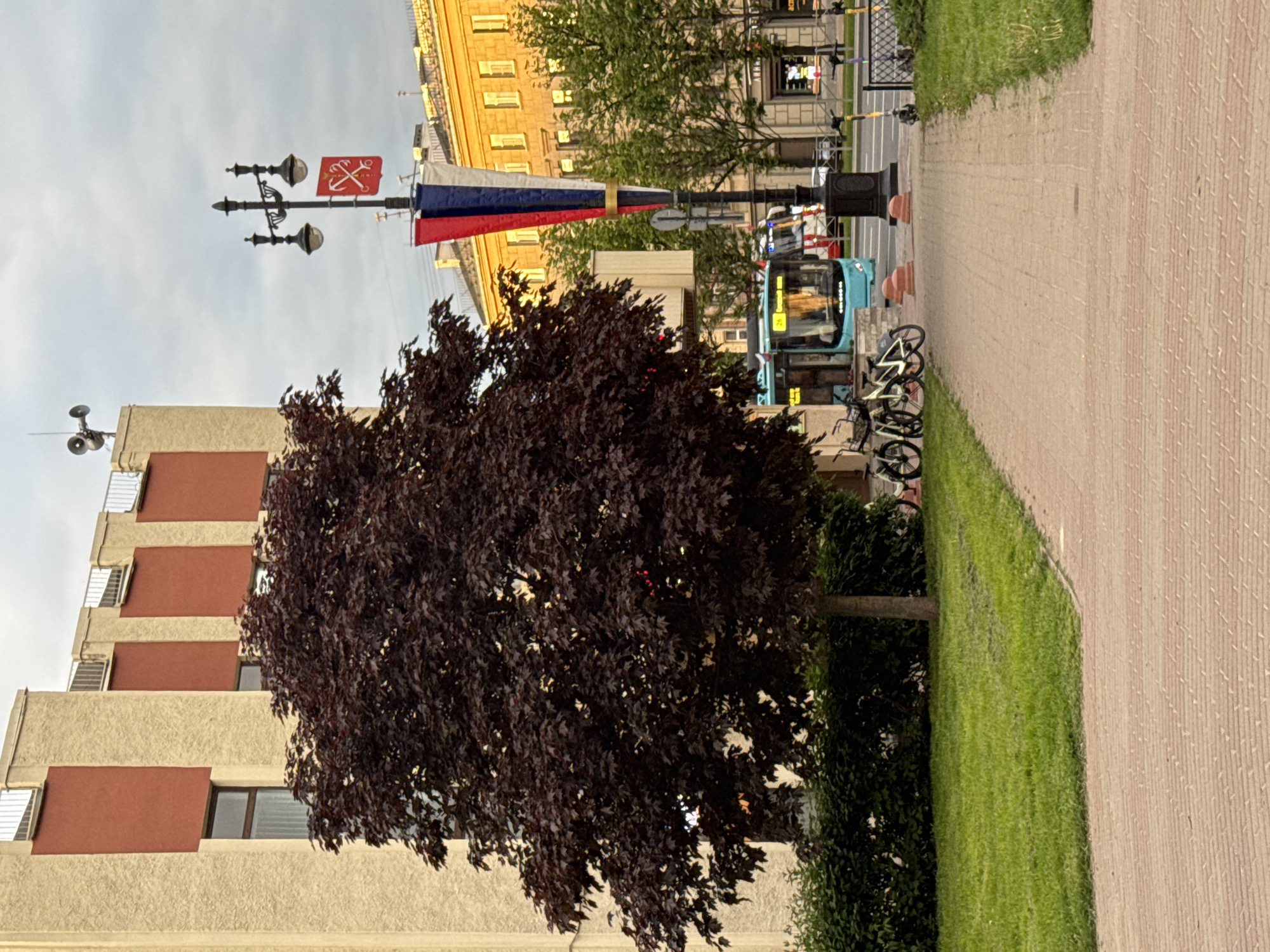 This image captures an urban street scene in Saint Petersburg, Russia, under what appears to be an overcast or hazy daytime sky. The perspective is rotated, showing a paved pedestrian walkway on the right, alongside a strip of green grass. On the left, a large, bushy tree with dense, dark reddish-brown foliage stands prominently, partially obscuring a building with light-colored walls and reddish-brown horizontal sections.
In the midground, a traditional lamppost is decorated with a cone-shaped Russian national flag (white, blue, red stripes) and a red banner featuring the golden historical emblem of Saint Petersburg: two crossed anchors. A light-blue public bus is visible on the street, displaying the numbers "25" and "29" on its front, likely indicating route numbers. Several bicycles are parked near the bus and the walkway. In the background, a large, yellow-colored building with multiple windows can be seen, characteristic of urban architecture. The scene is devoid of clearly visible people but suggests a bustling city environment. No specific event is evident beyond general civic decoration.