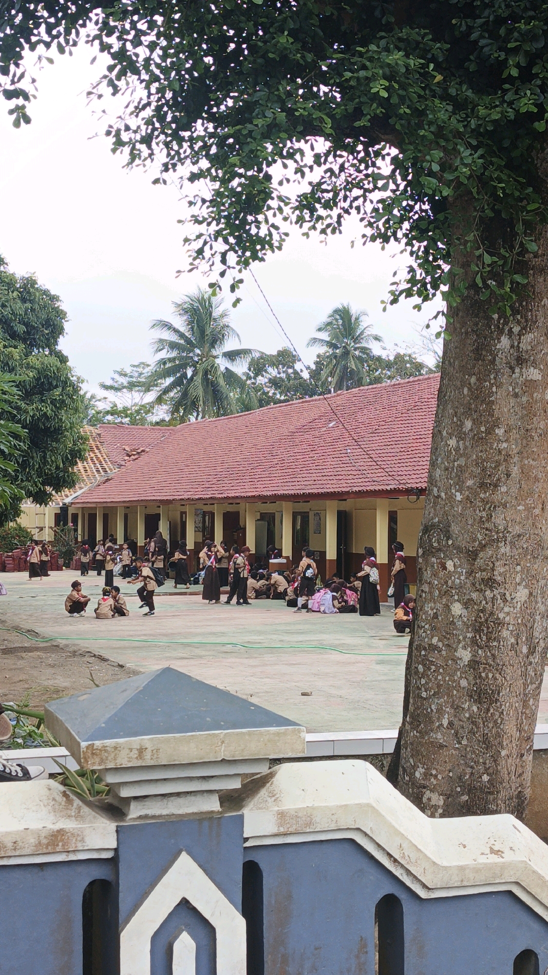 The image depicts an outdoor schoolyard in Cibenda, Indonesia, with a long, low building with a red tiled roof dominating the background. Many students, dressed in what appears to be scout uniforms of brown and white, are scattered across the paved area. Some are sitting on the ground in groups, others are standing, and a few are engaged in some form of activity. The building has a light yellow exterior with dark brown doors and window frames, and a covered walkway runs along its length supported by yellow pillars. Palm trees and other lush green vegetation are visible behind the building and to the left, indicating a tropical or subtropical climate. A large, textured tree trunk is prominently featured in the foreground on the right, partially obscuring the view of the school building. In the lower foreground, a portion of a weathered blue and white fence or wall is visible. The overall impression is one of a casual gathering or break time at a school.