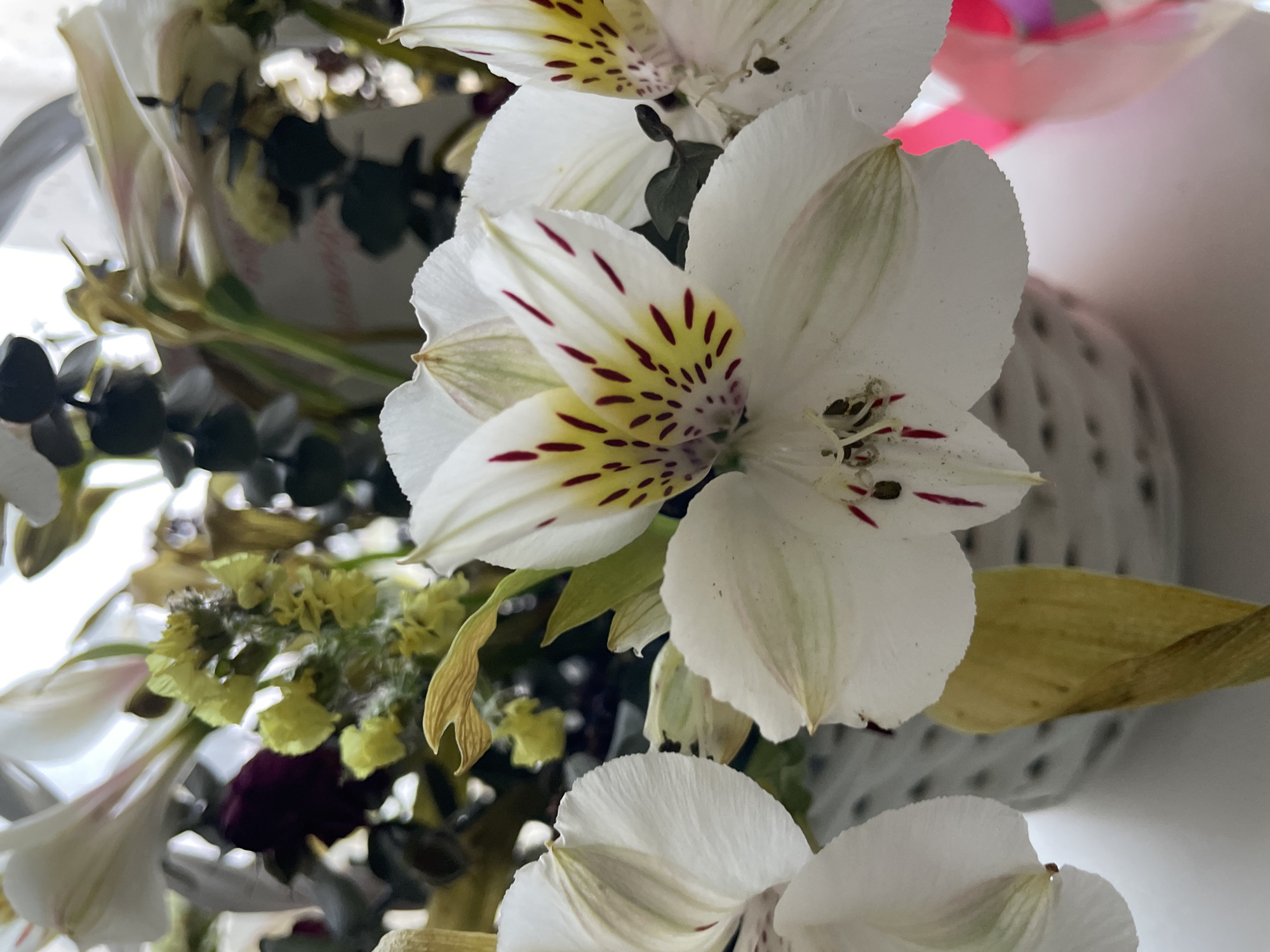 A close-up shot of a bouquet of white Alstroemeria flowers with red and yellow markings, accompanied by various green foliage. The flowers are the primary subject, with some petals slightly browned. The background is blurred but suggests a vase or container with a patterned surface. The lighting appears natural. There is no visual evidence in the image to suggest that the photograph was taken in Olginka, Russia.