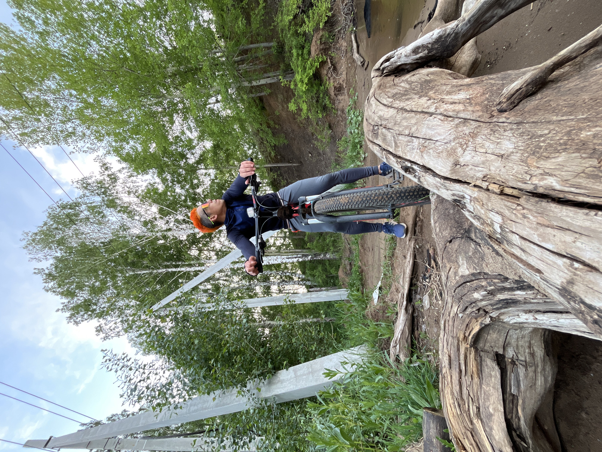 A man is riding a mountain bike on top of a large fallen tree trunk, presumably for recreational purposes. He is wearing a dark blue jacket, gray pants, and blue sneakers. He has an orange helmet and tinted eyewear. The bike has muddy tires. The background features a forest with birch trees, and concrete power line supports are visible in the lower left. The location appears to be near a riverbank with a dirt trail. Based on the prompt, the location is Chaikovsky, Russia.