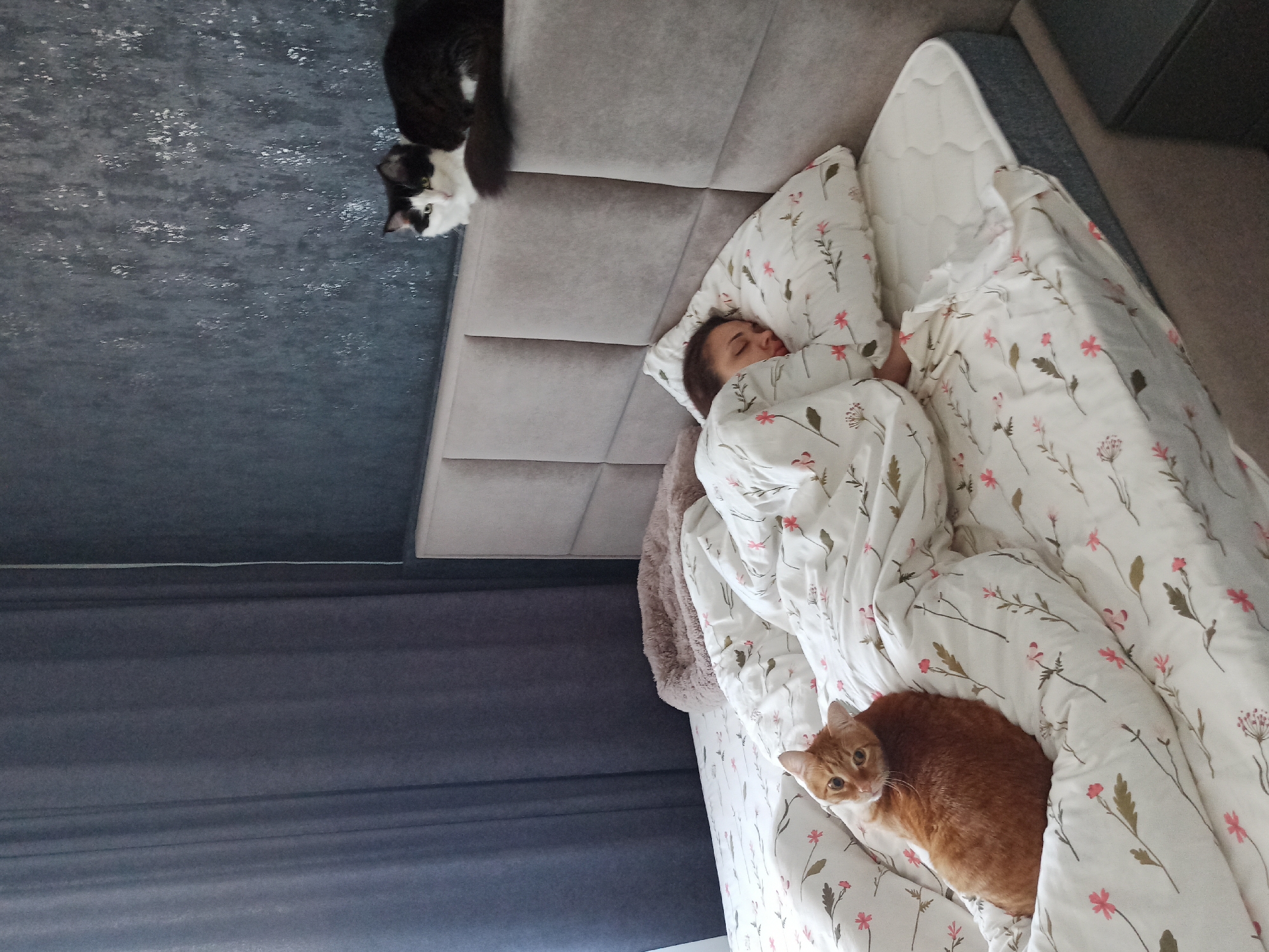 A woman is asleep in a bed with floral-patterned bedding. An orange cat is lying on the bed next to her. A black and white cat is standing on the headboard of the bed. The image appears to be taken indoors in a residential setting, potentially in Кондратово, Russia.
