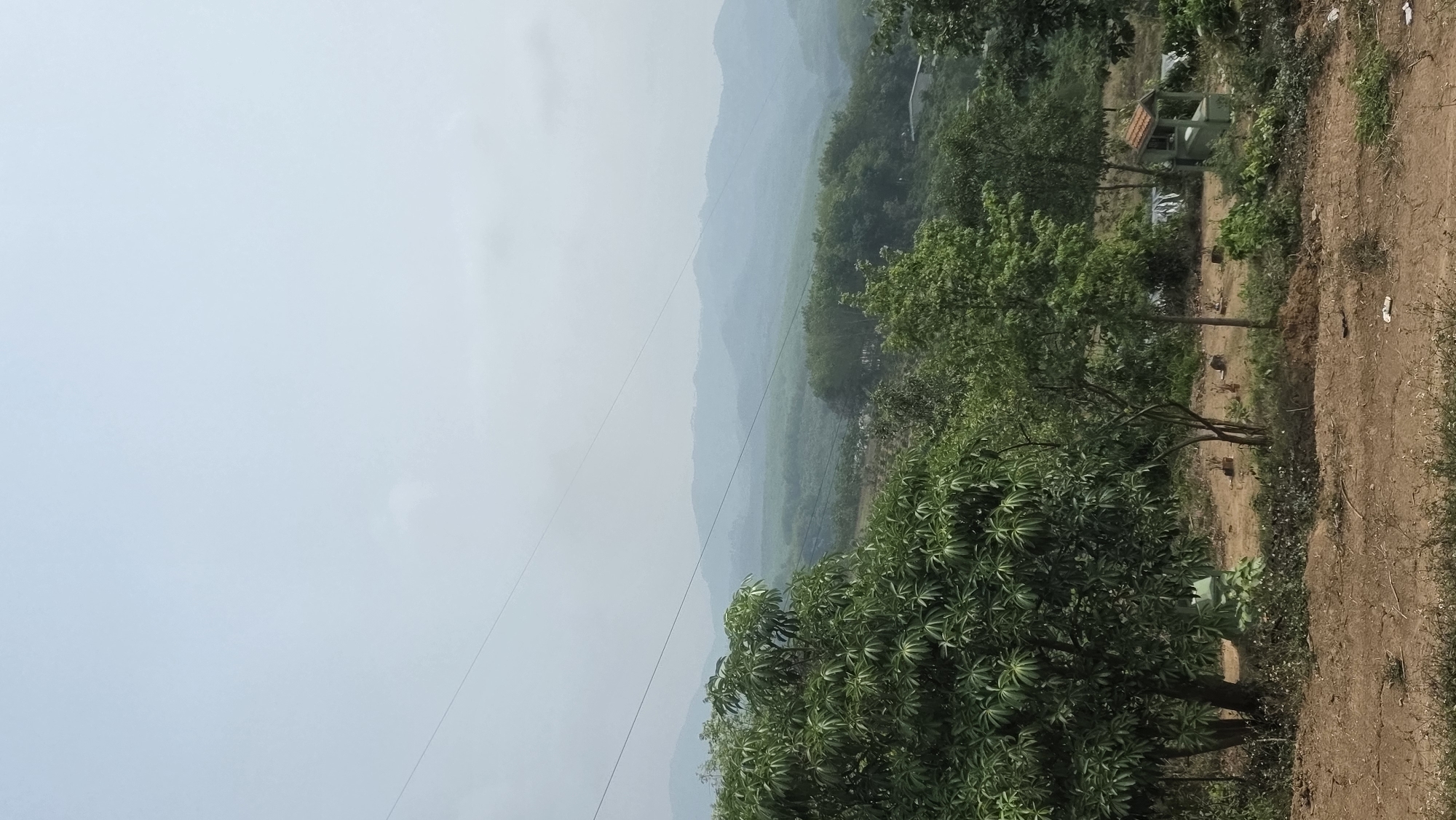 The scene is a landscape view in Dak To, Vietnam, featuring hills and vegetation. The left side of the image is dominated by a hazy sky, while the center and right side showcase a terrain of green hills and trees. In the foreground, a lush tree is partially visible with dense foliage. A dirt path runs along the right side, next to the greenery. Further down the path, there's a structure with a red roof among the trees. A utility pole is seen against the sky, cutting through the hazy background.