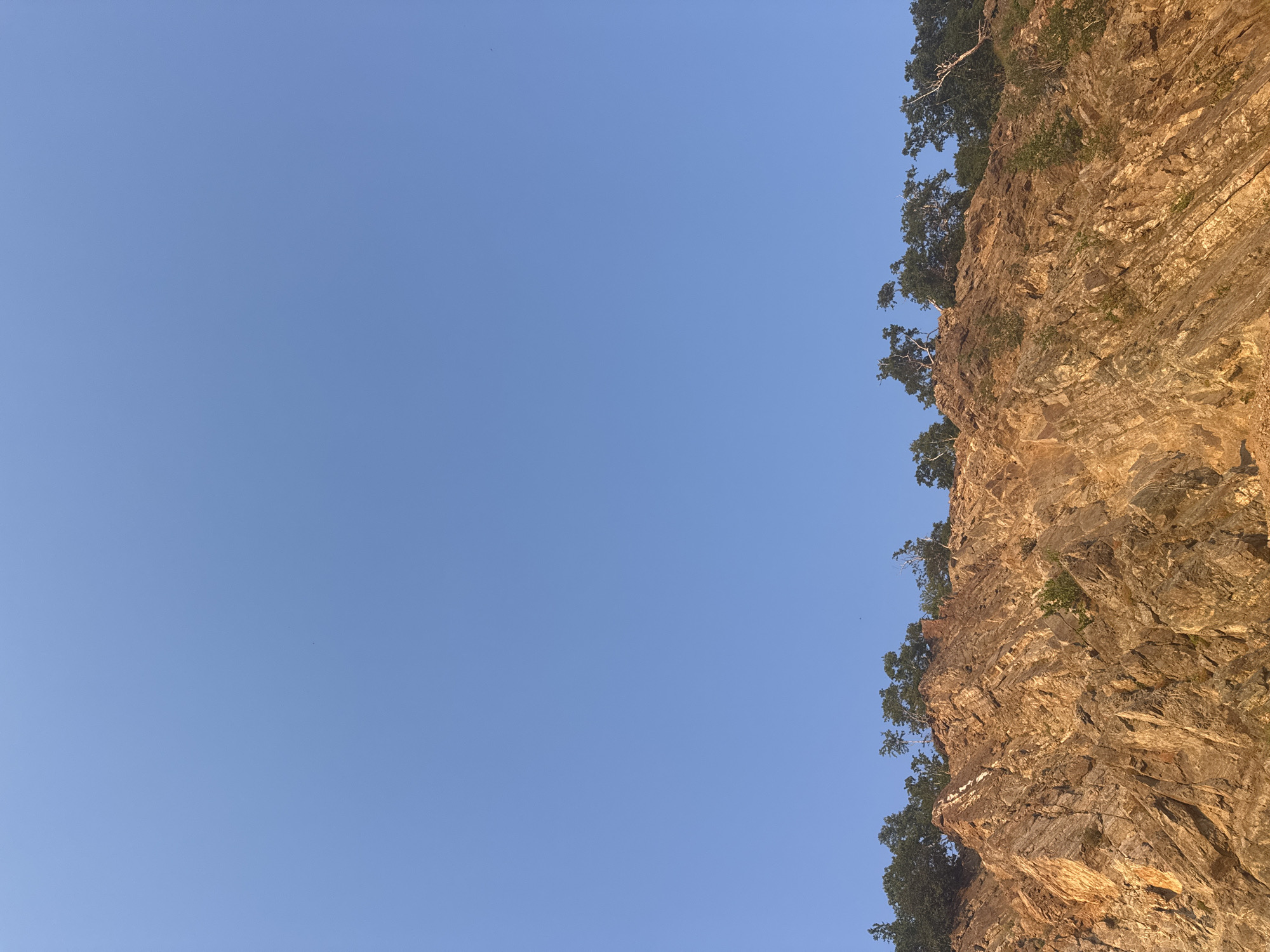 The image shows a rocky cliff face against a clear blue sky. Trees are growing along the top of the cliff. The rocks are layered and appear to be exposed earth or stone. There are no people or man-made objects visible. The scene depicts a natural landscape.