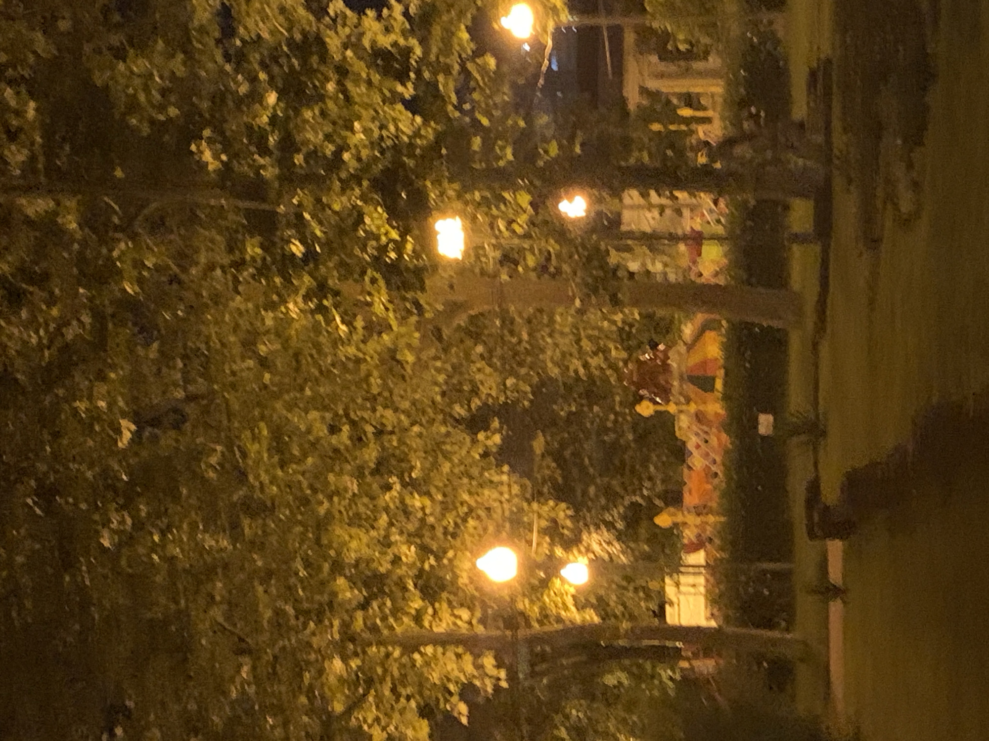 This is a nighttime, outdoor photograph of a park. Multiple trees with dense foliage dominate the foreground and midground, their leaves illuminated by artificial lights. Several streetlights are visible, casting a warm yellow glow. In the background, a playground with colorful structures, including what appears to be a slide and climbing equipment, is partially visible. A low hedge or fence separates the playground area from the grassy lawn. The ground is covered in grass, and some dark, undefined objects, possibly benches or landscaping features, are present. The overall lighting suggests it is dark outside, with the park being illuminated by artificial sources. The location is identified as Unknown, Unknown.