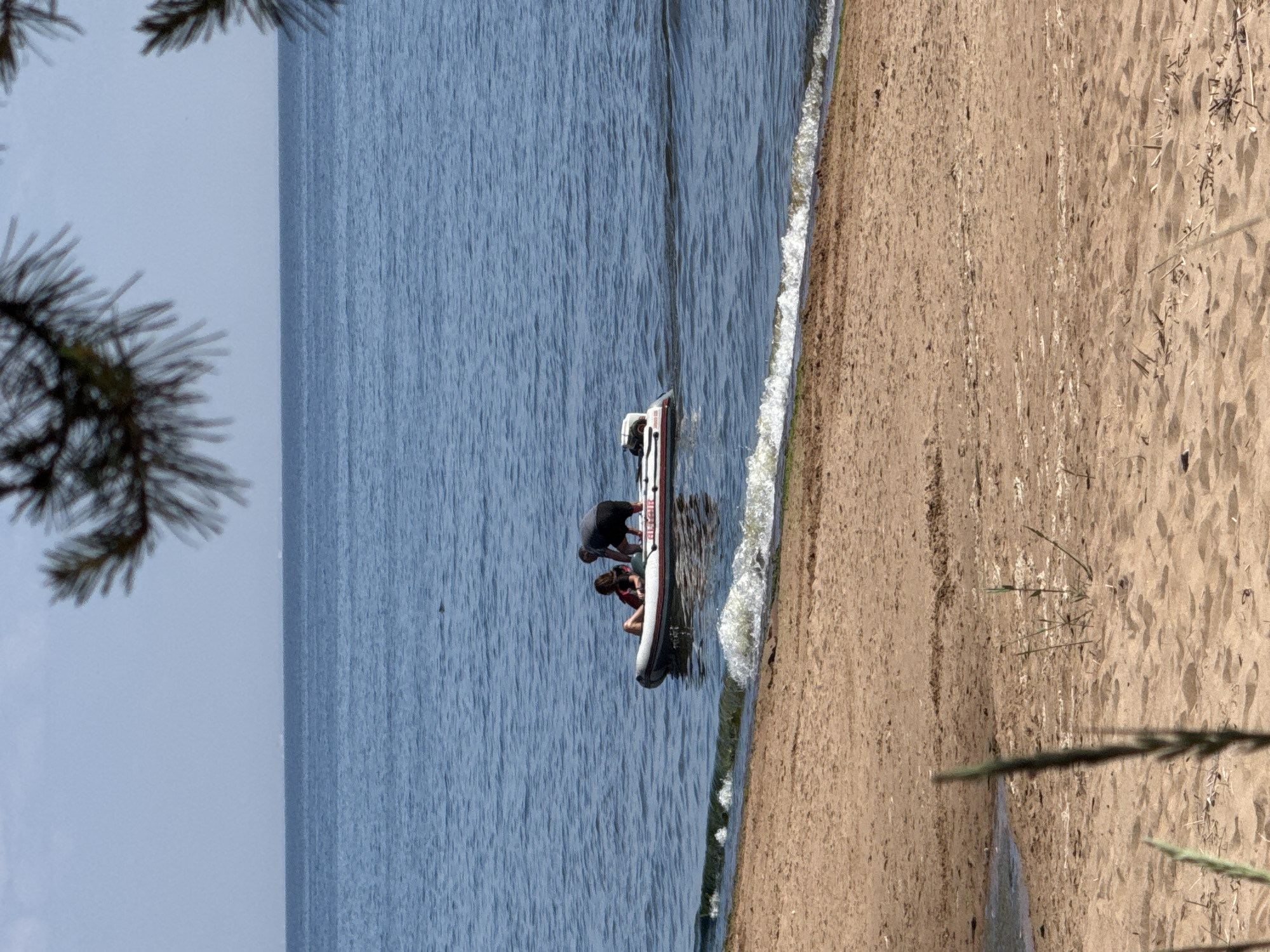 A low-angle, eye-level shot shows a beach in Zelenaya Roshcha, Russia, leading to a body of calm blue water. In the water, approximately 15 meters from the shore, a person is seated in a white and red inflatable boat. A dog is standing in the boat, facing towards the seated person. The boat appears to be moving away from the shore. The beach is sandy and appears dry with scattered bits of seaweed and debris. In the foreground, the tops of tall grasses are blurred. The sky is a light, hazy blue. Pine needles hang from the top of the frame, obscuring a small portion of the sky and water.