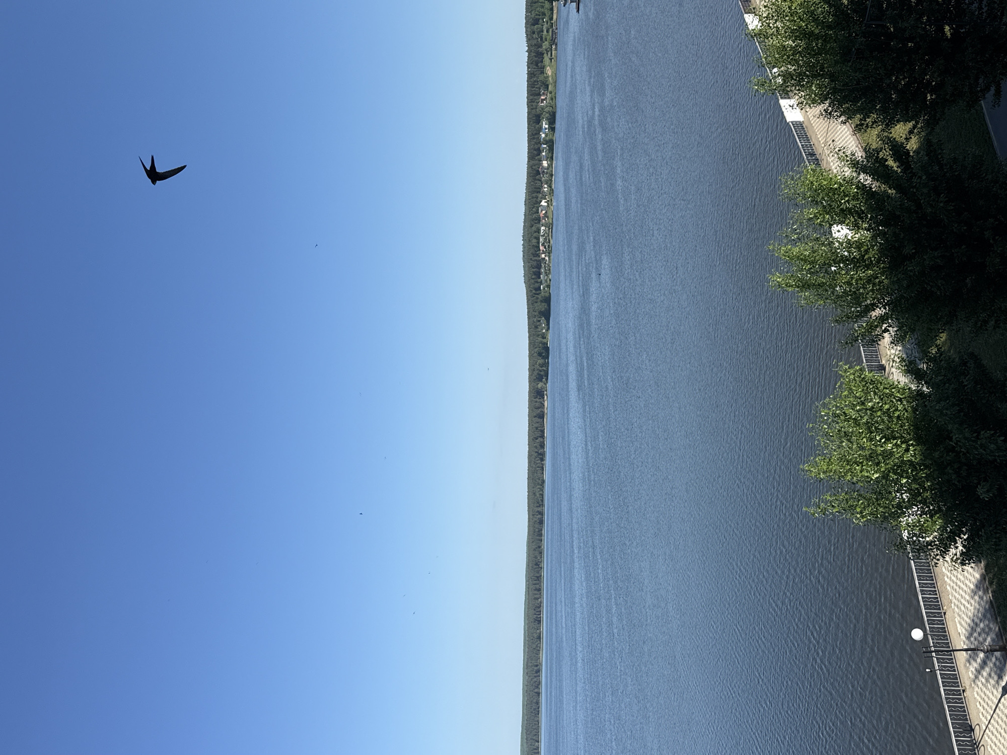 The image shows a waterfront scene in Votkinsk, Russia. A body of water, likely the Votkinsk Reservoir, fills the right half of the frame, reflecting the sky. The opposite bank is visible in the distance with a line of trees and some buildings. On the right side of the image, a paved walkway and trees are seen along the waterfront.
In the sky, which occupies the left half of the frame, a bird is flying. The sky is clear and blue.