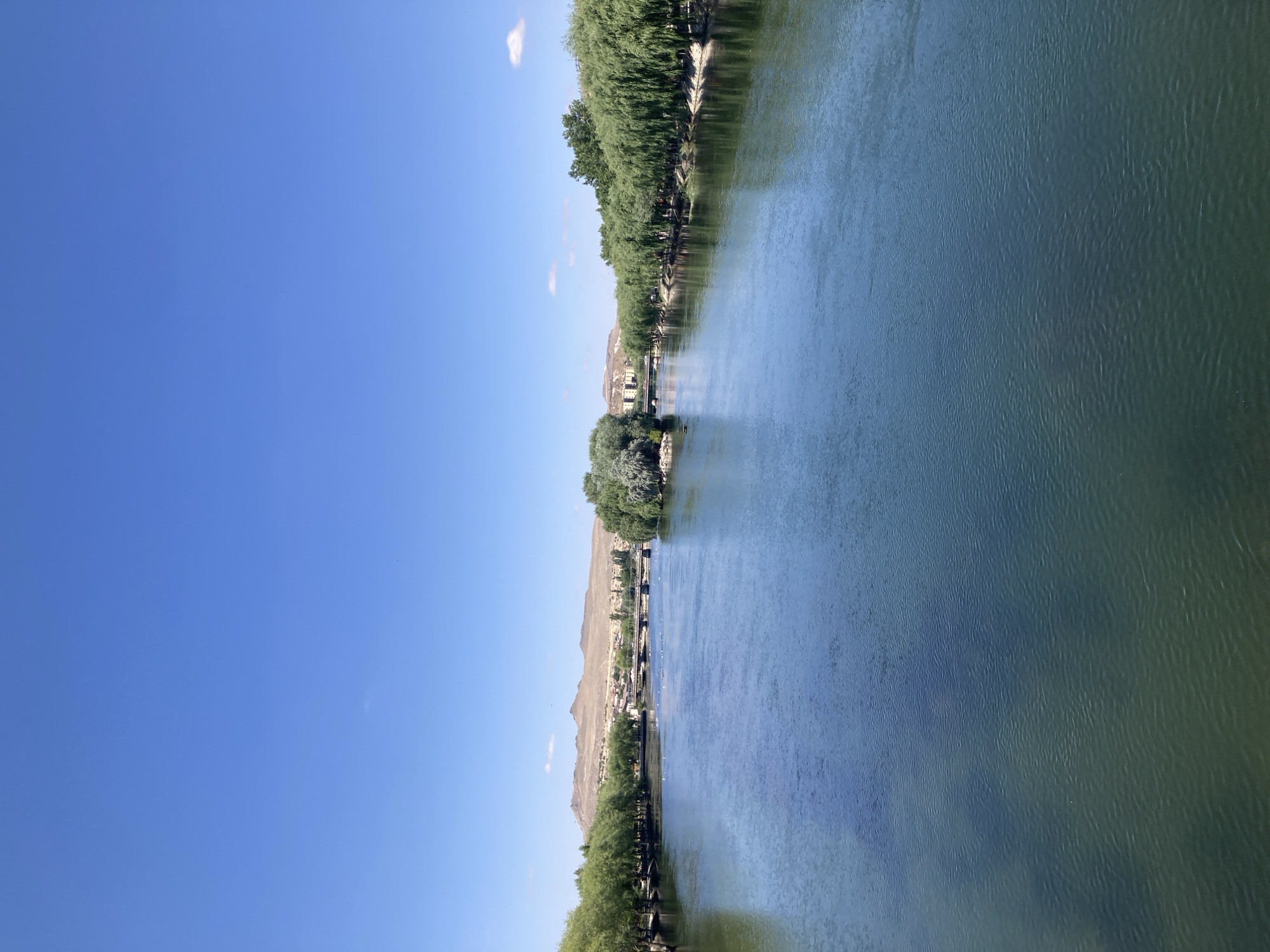 A wide, calm river flows through a city under a clear blue sky. The riverbanks are lined with lush green trees, many of which appear to be weeping willows, with their branches cascading towards the water. In the distance, a bridge crosses the river, and beyond that, a range of arid hills and some buildings are visible, suggesting a town or city. The water's surface is gently rippled, reflecting the trees and the sky. There are no people or animals clearly visible in the immediate foreground or on the water. The overall scene depicts a serene and natural landscape within an urban or semi-urban setting.