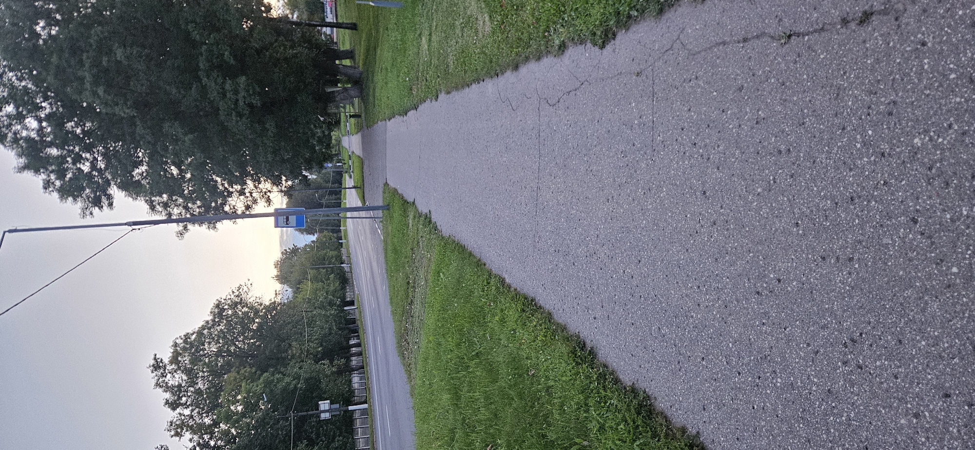 The image depicts a straight, paved sidewalk running alongside a road lined with green grass and trees. A street lamp is positioned on the sidewalk, and a bus stop sign with a blue background and a white bus icon is visible on a pole near the lamp. The road is empty, and trees line the opposite side of the road. The sky is overcast, suggesting it may be dawn or dusk. Based on the architectural style of the bus stop sign, it is likely located in Belarus, specifically Vitsebsk, as indicated by similar signage found in the city.