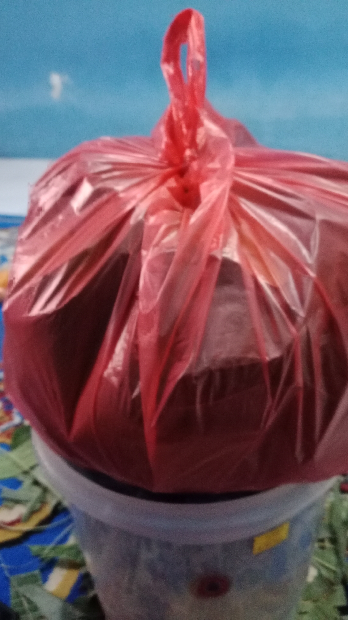 A red plastic bag is tied shut and sits atop a clear plastic bucket. The bag is full and appears to be holding solid items. The bucket has a blue and white pattern and a yellow sticker on its side. The background is a blurred blue surface, possibly a wall or sky. The image is taken from a slightly low angle. The location is a domestic setting in Denpasar, Indonesia.