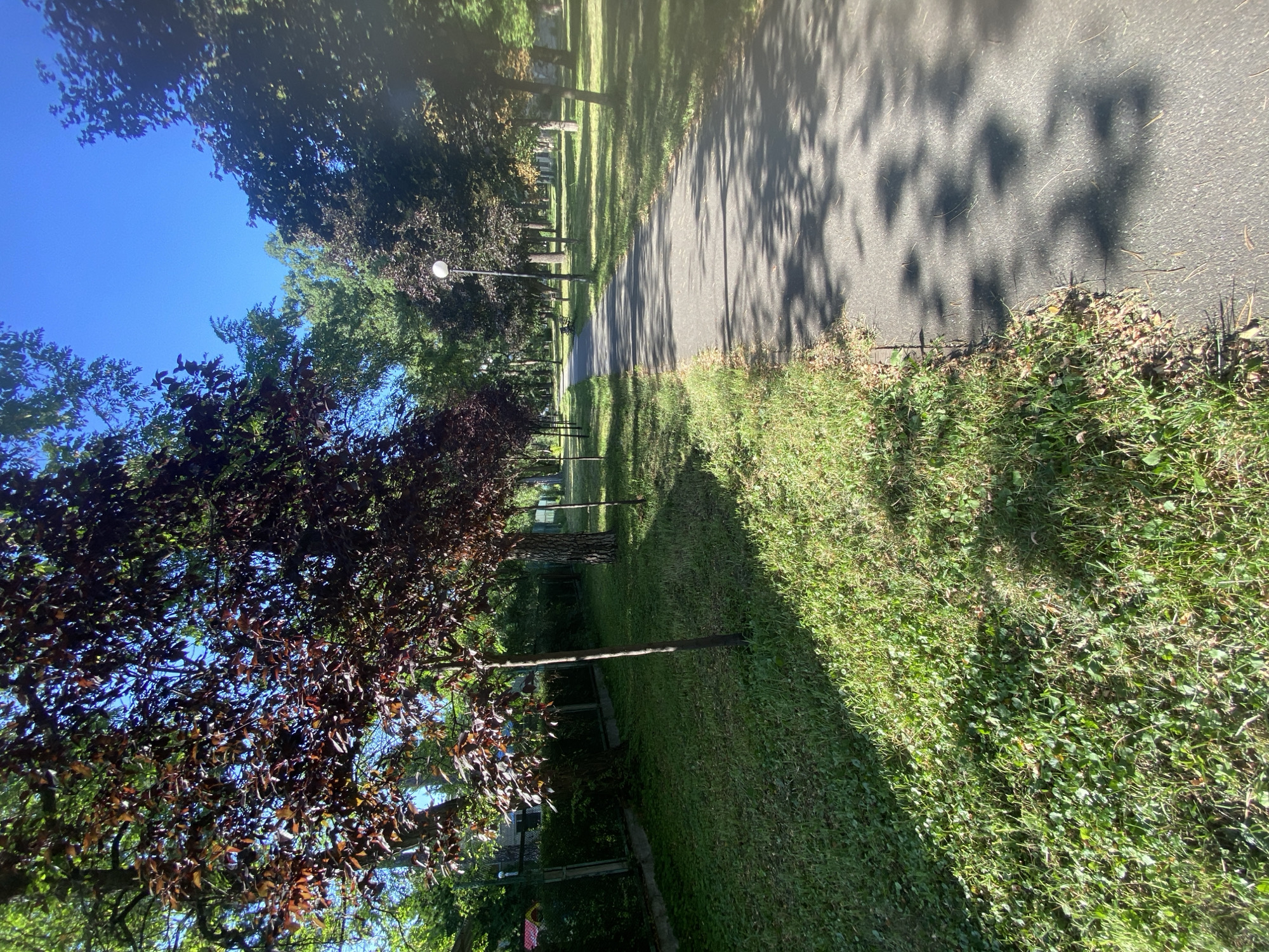 The image depicts a paved pathway winding through a park in Kyiv, Ukraine, on a sunny day. The pathway is bordered by lush green grass and a line of trees, some with dark reddish-purple foliage and others with standard green leaves. The trees cast dappled shadows across the path. A black metal fence with green bushes behind it runs along the left side of the pathway in the foreground. In the distance, a lamppost is visible, and further along the path, a park bench can be seen. The sky is clear and bright blue. No people are present in the image. The scene appears to be a well-maintained public park.