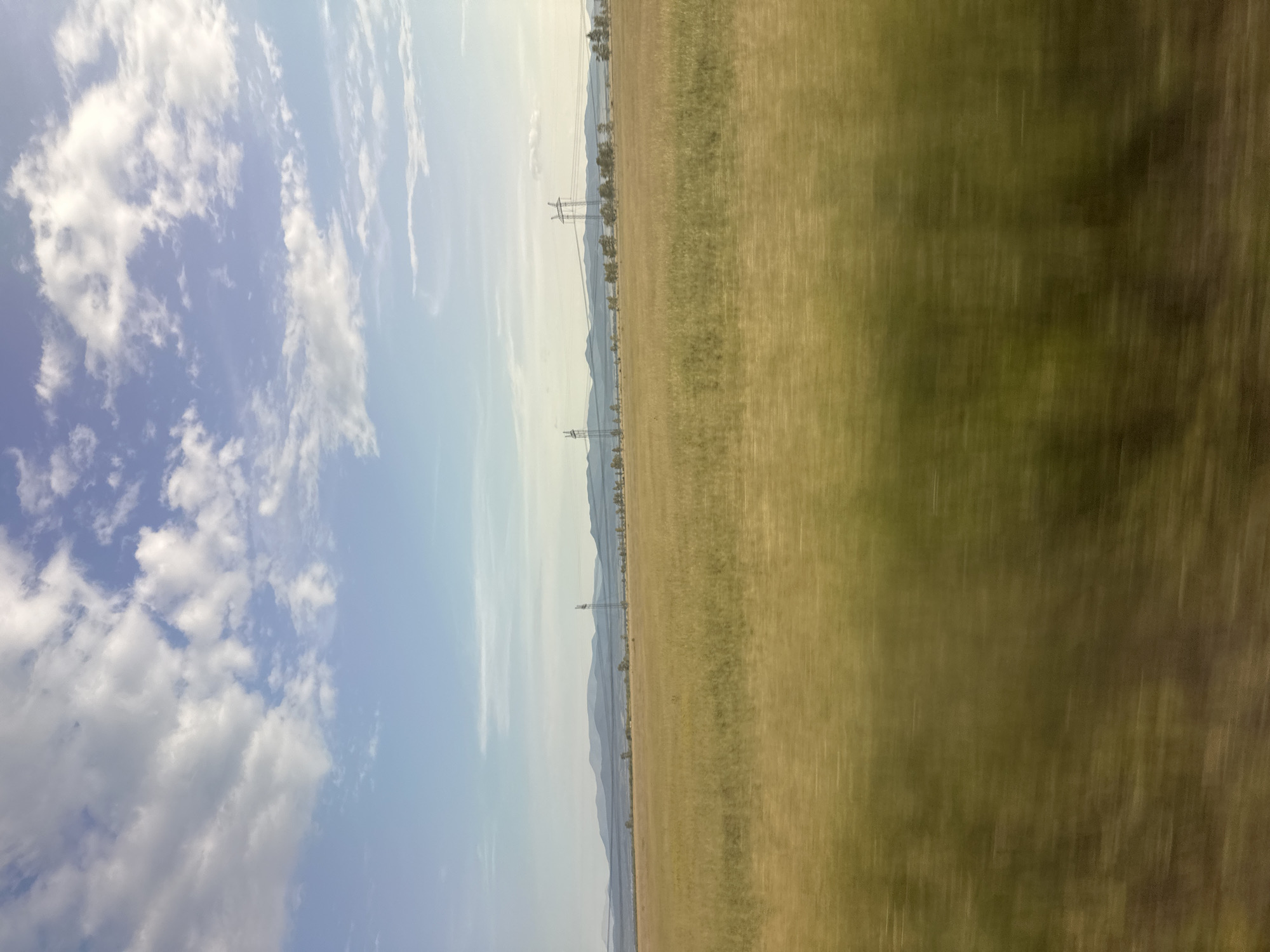 The image captures a wide, golden field stretching towards a distant horizon. The field is characterized by tall, dry grass that appears blurred due to motion, suggesting the photograph was taken from a moving vehicle. In the background, a line of trees and hills forms a hazy silhouette against a pale blue sky dotted with white, wispy clouds. Several power line towers with wires strung between them are visible across the landscape, indicating the presence of infrastructure. The overall scene conveys a sense of open space and rural tranquility, consistent with the outskirts of Novonikolaevka, Russia.