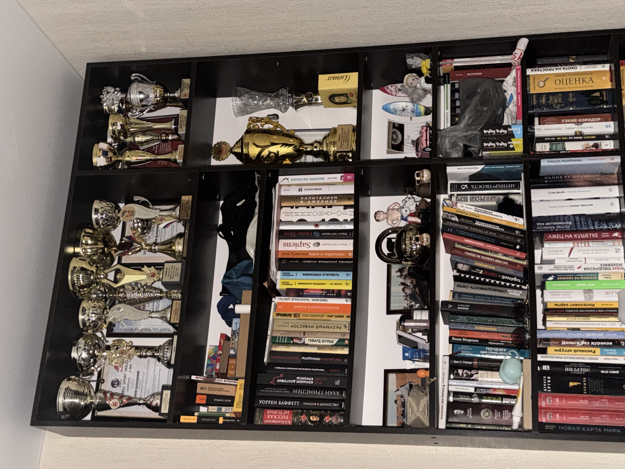 The image shows a dark brown, four-shelf bookcase against a light-colored wall, likely inside a residence. The bookcase is filled with a variety of objects, including numerous trophies of varying sizes and designs displayed on the left two shelves, and stacks of books densely packed on the right two shelves.
The trophies appear to be made of gold, silver, and other metallic materials, suggesting they represent achievements or awards. The books have spines with titles in Russian, covering a range of topics from economics to personal development. The scene is indicative of a collection built up over time, possibly belonging to someone interested in competitive activities and reading. The image does not definitively pinpoint a location in Chaikovsky, Russia.