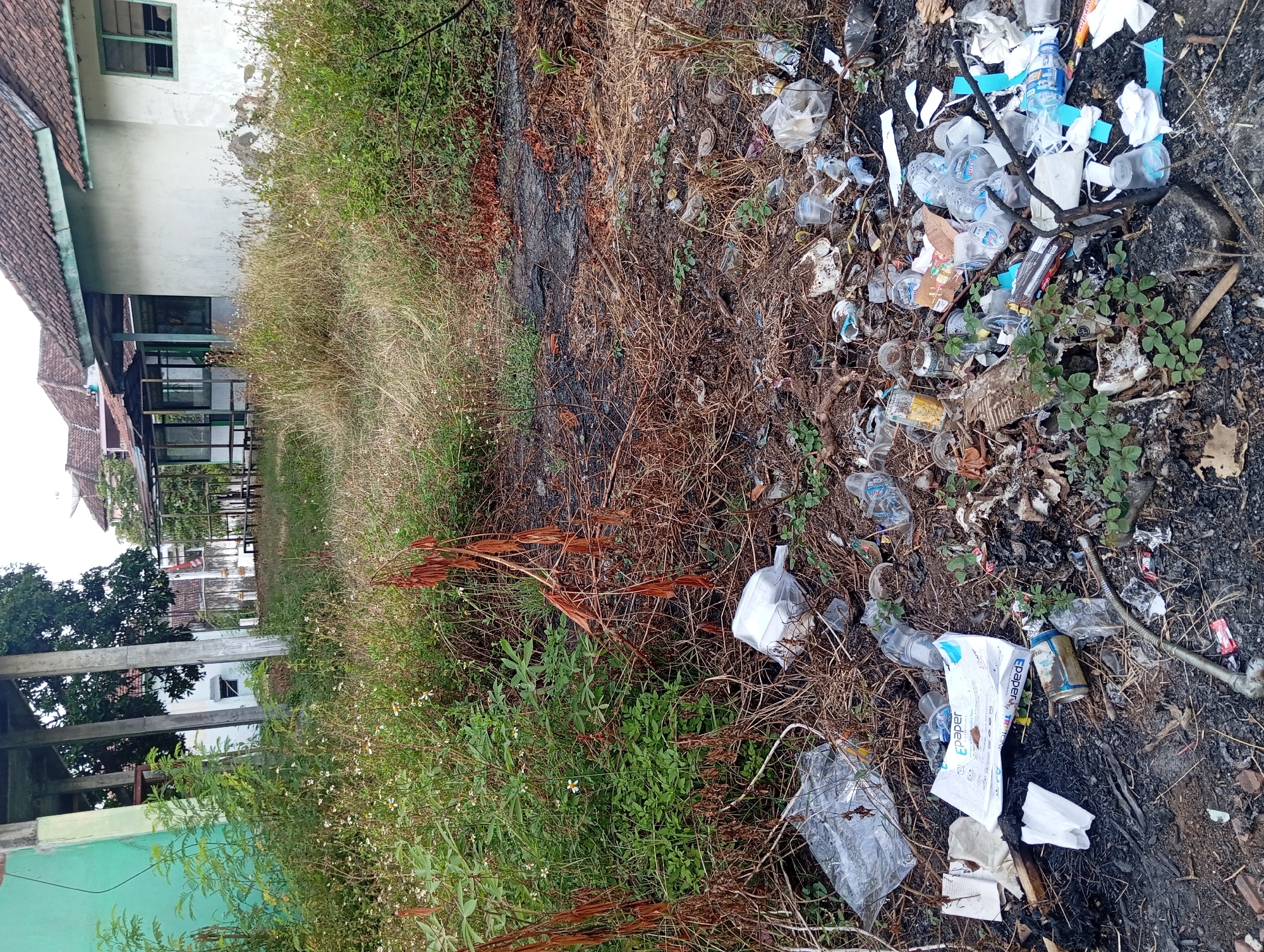 The image depicts an outdoor scene of neglect and litter accumulation in a grassy, overgrown area adjacent to buildings with tiled roofs. The ground is covered with a significant amount of debris, including plastic bottles, cups, wrappers, and what appears to be burnt material. Vegetation, including dry grass and small green plants, is interspersed with the trash. In the background, buildings with white walls and green trim are visible. One building has large concrete pillars supporting an overhead structure. The scene suggests an unkempt urban or semi-urban environment. The location is identified as Pandaan, Indonesia. There are no people visible in the image.