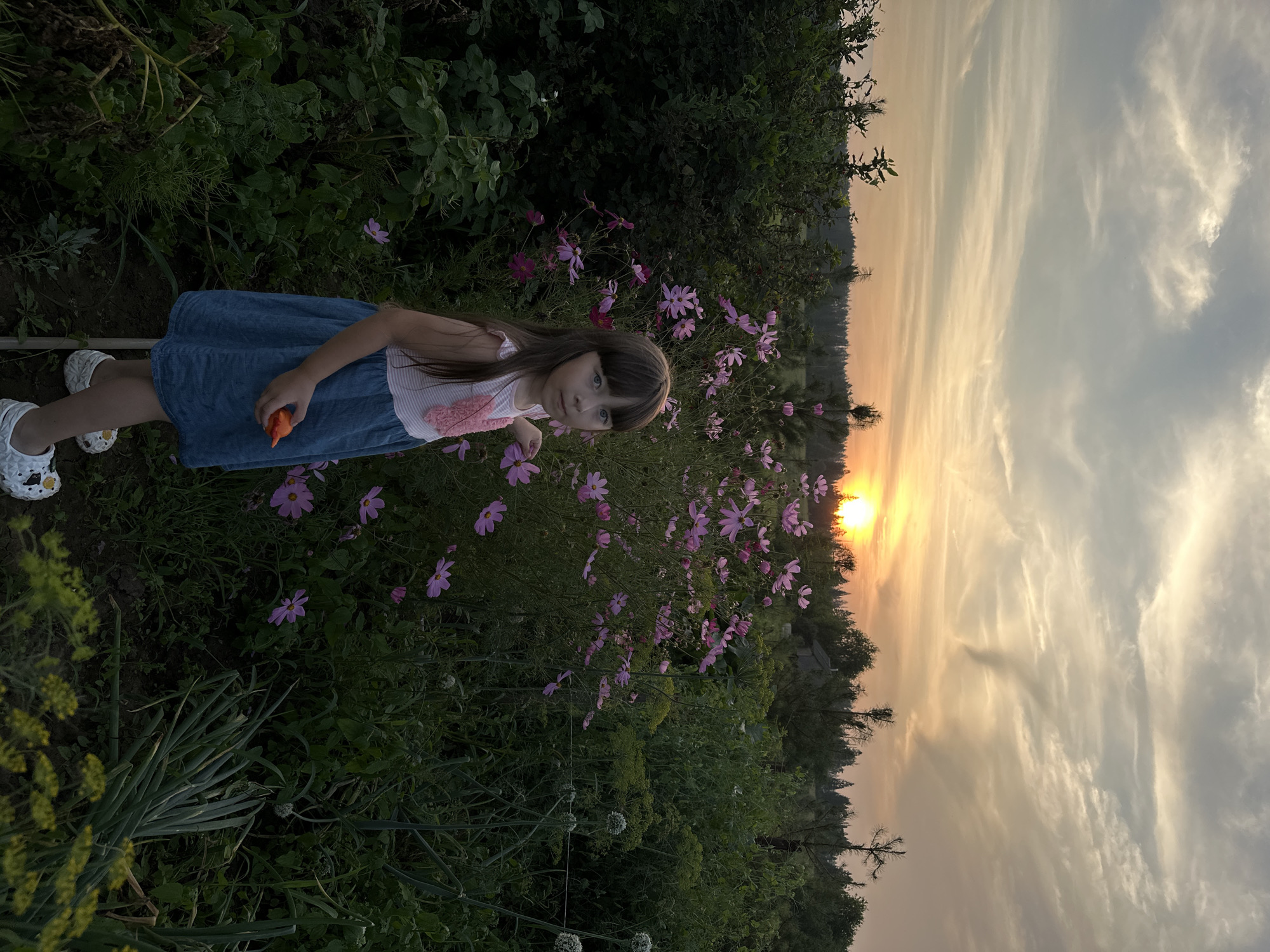 A young girl with long, brown hair and a blue denim dress stands in a garden during sunset. She is holding a small orange object, possibly a toy or vegetable, in her right hand. The garden is filled with pink cosmos flowers and lush green foliage. In the background, a line of trees borders the garden, and the sky is illuminated with the warm colors of the setting sun, creating a dramatic cloud formation. The scene is located in the village of Sredneye Kechevo, Russia, suggesting a rural or suburban setting.