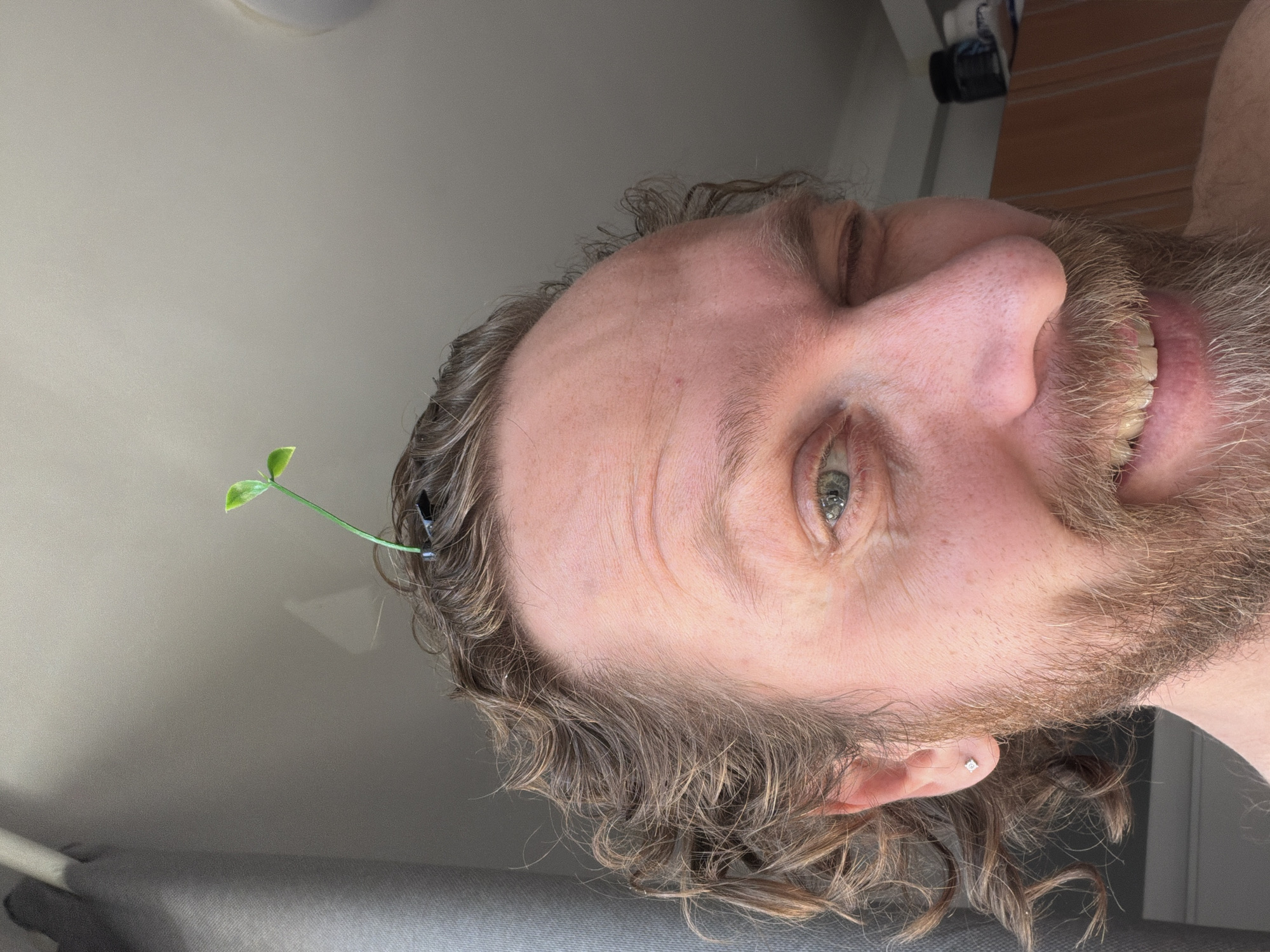 A man with fair skin, light brown curly hair, and a thick beard is smiling at the camera. A small green plant stem with two leaves is tucked into his hair. The background is a light gray wall. A curtain and a partial view of a cabinet are visible behind him. The lighting is soft. There is no evidence to indicate that this photo was taken in Saint Petersburg, Russia.