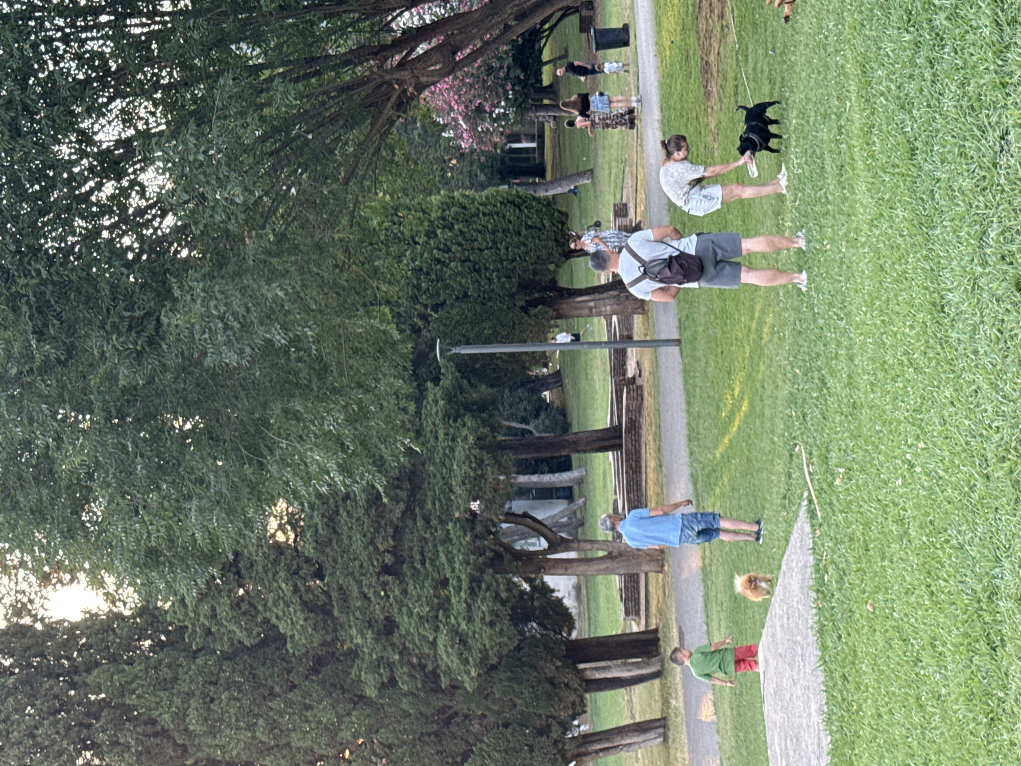 In the city of Budva, Montenegro, a park scene unfolds with several individuals and dogs on a lush green lawn. In the foreground, a man wearing a light-colored t-shirt and grey shorts stands with a dark backpack, facing away from the camera. To his right, a woman in a light-colored patterned t-shirt and white shorts is bending down to interact with a small black dog on a leash. The dog appears to be chewing on a black object held by the woman.
Further in the midground, a boy in a green t-shirt and red pants stands near a small, fluffy tan dog. Behind him, a man in a blue t-shirt and denim shorts stands facing right, appearing to observe the boy and dog.
In the background, several other people are visible, some walking and others gathered. The park is characterized by mature trees, including tall, slender cypress trees on the left and a variety of deciduous trees with dense foliage, some displaying pink and white blossoms. A paved pathway runs through the park, and stone benches or low walls are present in some areas. The lighting suggests it is late afternoon or early evening, with soft sunlight filtering through the trees. A black trash receptacle is visible on the right side of the background.