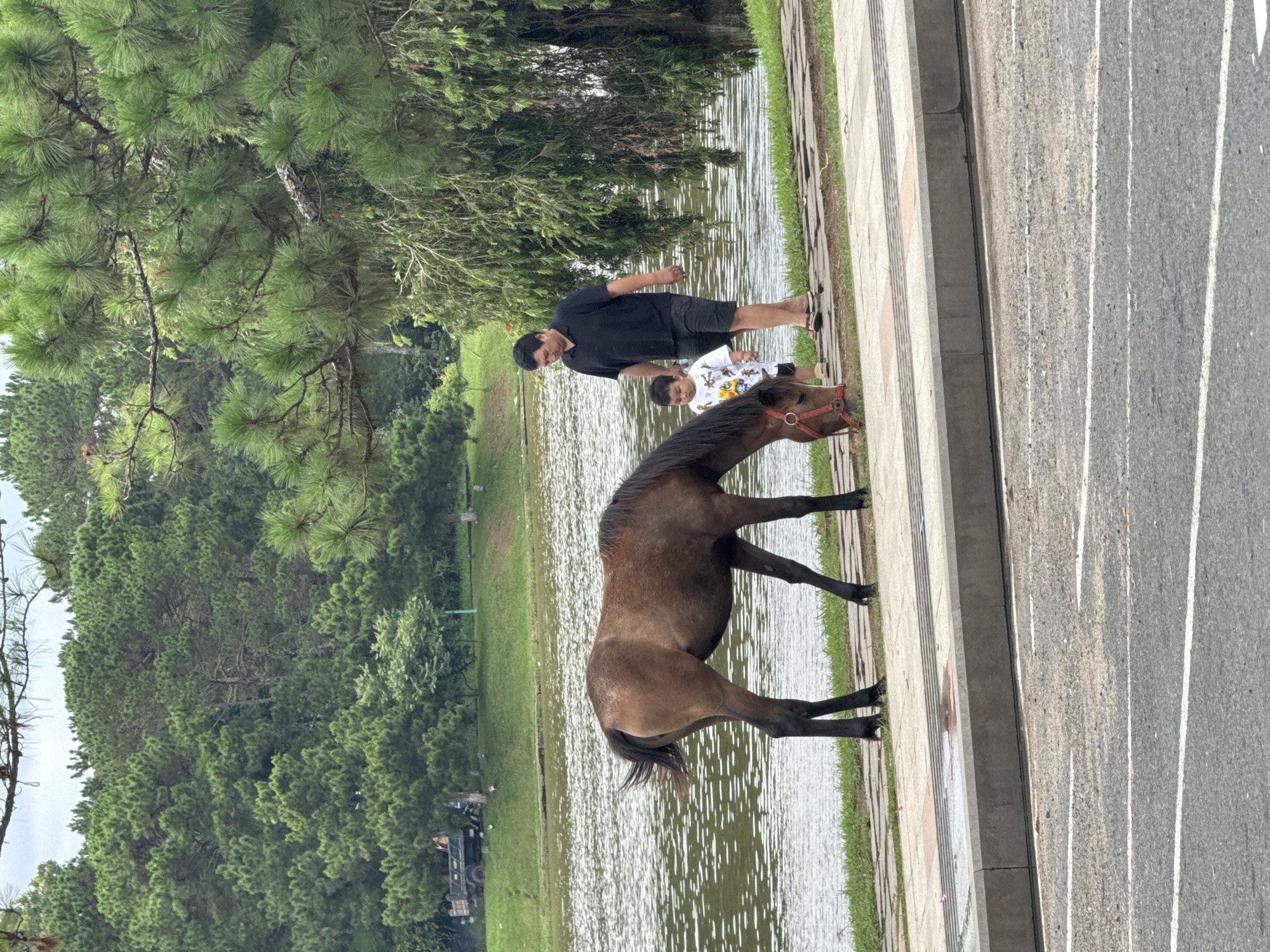 A medium shot depicts a brown horse tethered to the sidewalk near a lake. An Asian man, wearing a black shirt and black shorts, stands to the right of the horse near a child who is wearing a white t-shirt. Behind the horse, man, and child is a lake, and beyond the lake is a dense forest. To the right of the horse, a street runs parallel to the sidewalk. The photo was taken in Da Lat, Vietnam.