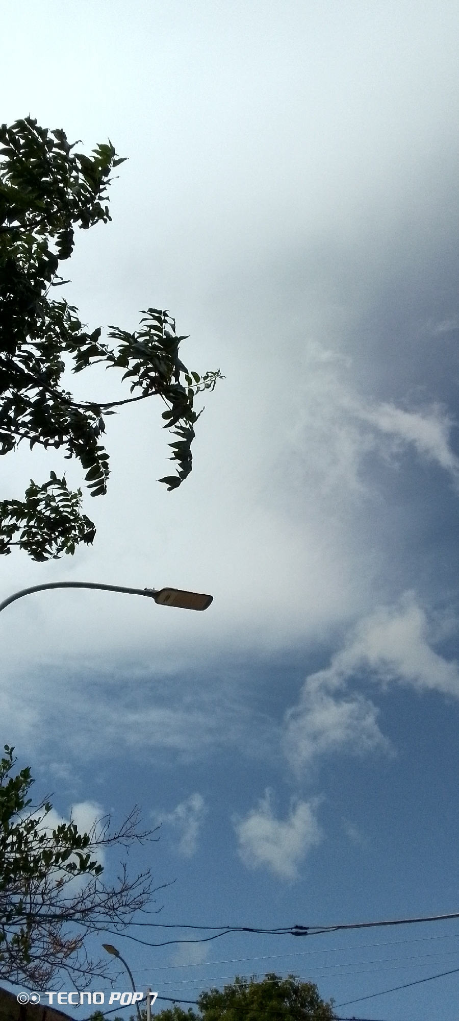 The image displays a low-angle view of the sky with a prominent street lamp and tree branches. The sky is a mix of blue and white, with scattered clouds. The street lamp is modern, with a rectangular, orange-toned light fixture attached to a curved, gray pole. Several dark green tree branches, some with leaves and others bare, extend from the left and bottom of the frame into the sky. Electrical wires are visible crisscrossing horizontally across the lower portion of the image. In the bottom left corner, a watermark reads "TECNO POP 7." The scene suggests an outdoor setting within a city environment, potentially Altagracia, Venezuela, based on the watermark.