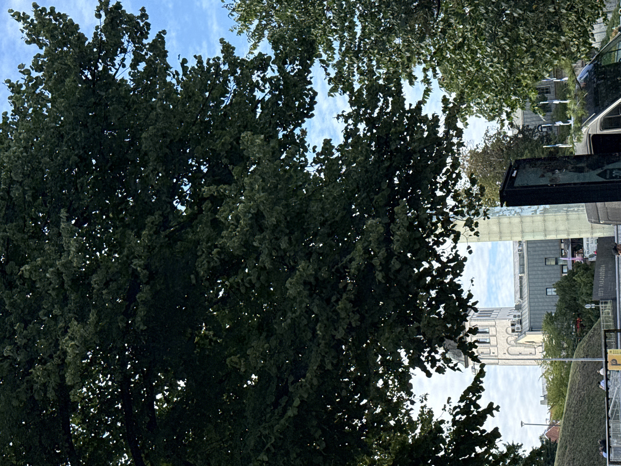 A wide shot captures a city scene dominated by lush green trees in the foreground. The branches and leaves of several large trees obscure a significant portion of the frame, creating a dappled light effect. Peeking through the foliage, a white tower with arched windows and a sloped roof stands prominently in the mid-ground. Below the tower, a modern building with a gray facade and multiple windows is visible. A glass structure is also present to the right of the tower. In the lower part of the image, a metal railing with yellow signage separates the viewer from a grassy embankment. Several individuals are casually seated or standing near the railing. A dark-colored van is parked in the lower right corner, partially obscured by a black display board. Flags are visible in the mid-ground, and the sky above is a clear blue with scattered white clouds.