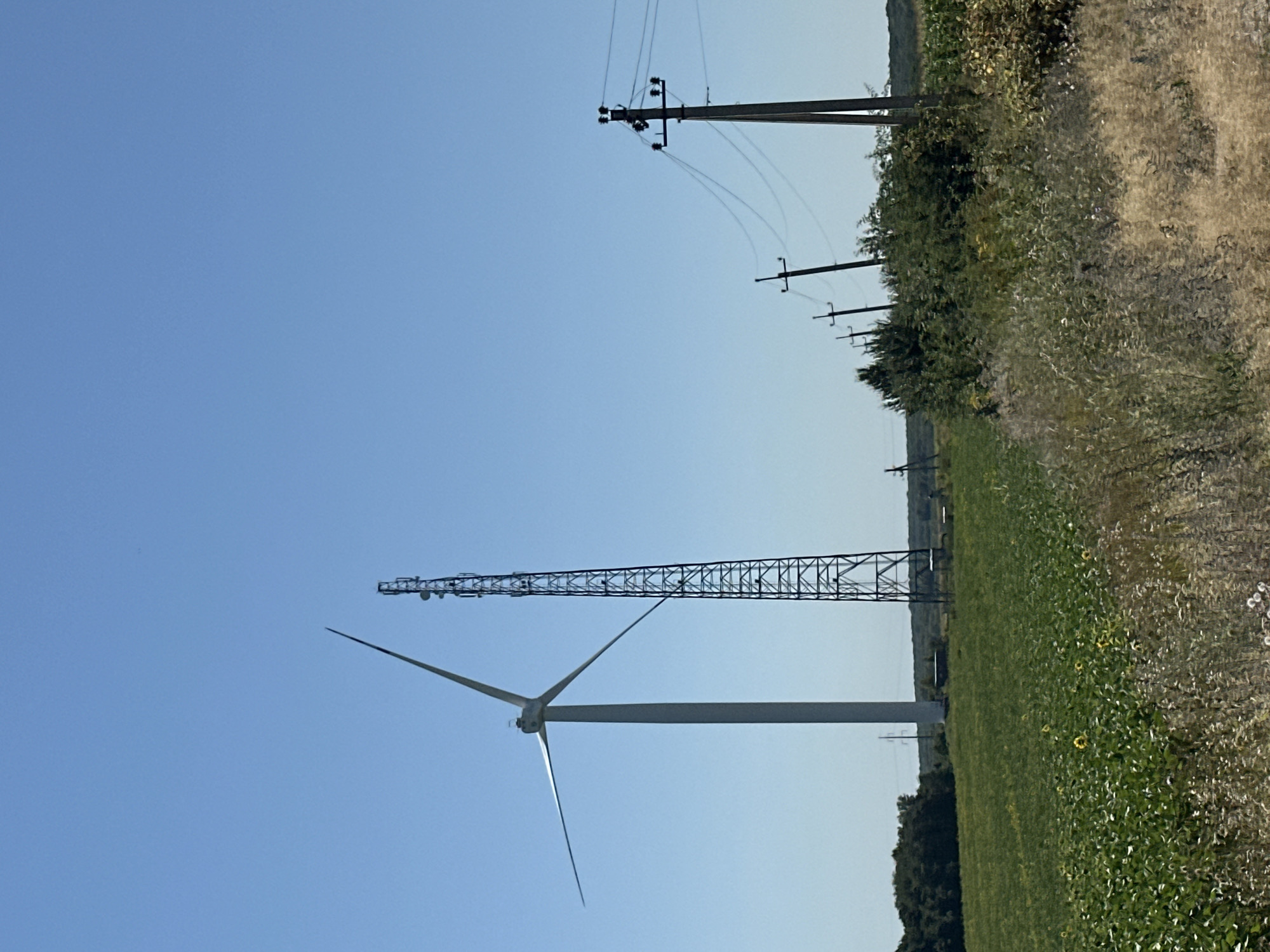 In Korchivka, Ukraine, a clear, bright day is depicted. A large, white wind turbine stands tall in a lush green field, its three blades extended against a bright blue sky. Adjacent to the turbine is a tall, lattice-like tower, likely a telecommunications or power pylon. In the foreground and stretching across the right side of the image, a dense array of vegetation is visible, with dry, wispy grasses and green bushes. Several utility poles with power lines are scattered throughout the landscape, with the closest one being the most prominent on the right. In the middle ground, more trees and foliage can be seen, forming a line across the horizon. The field in front of the turbine appears to be a crop, possibly sunflowers, with scattered yellow blooms visible. The overall scene suggests a rural, industrial, and agricultural setting under a cloudless sky.